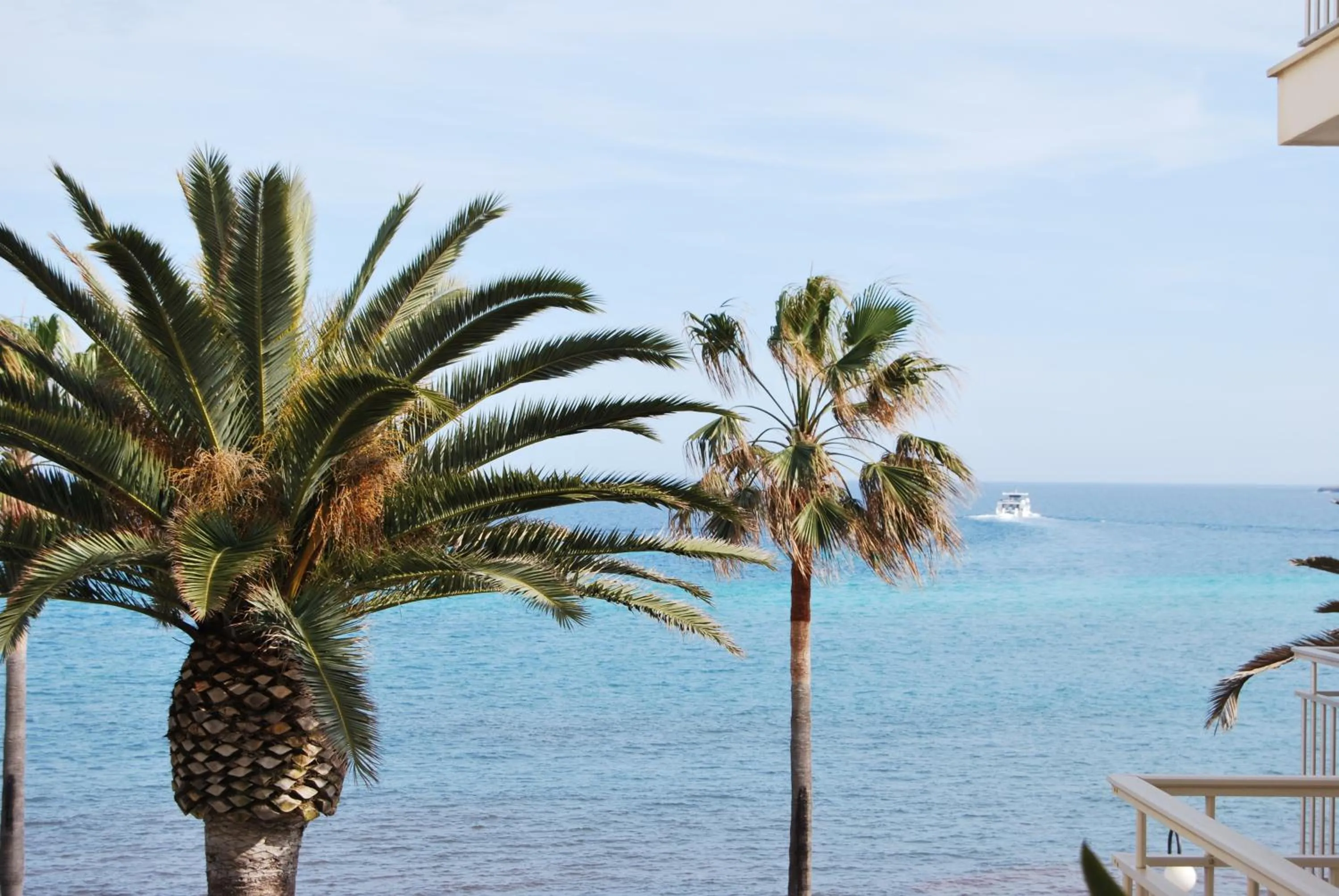 Day in Apartamentos Alborada