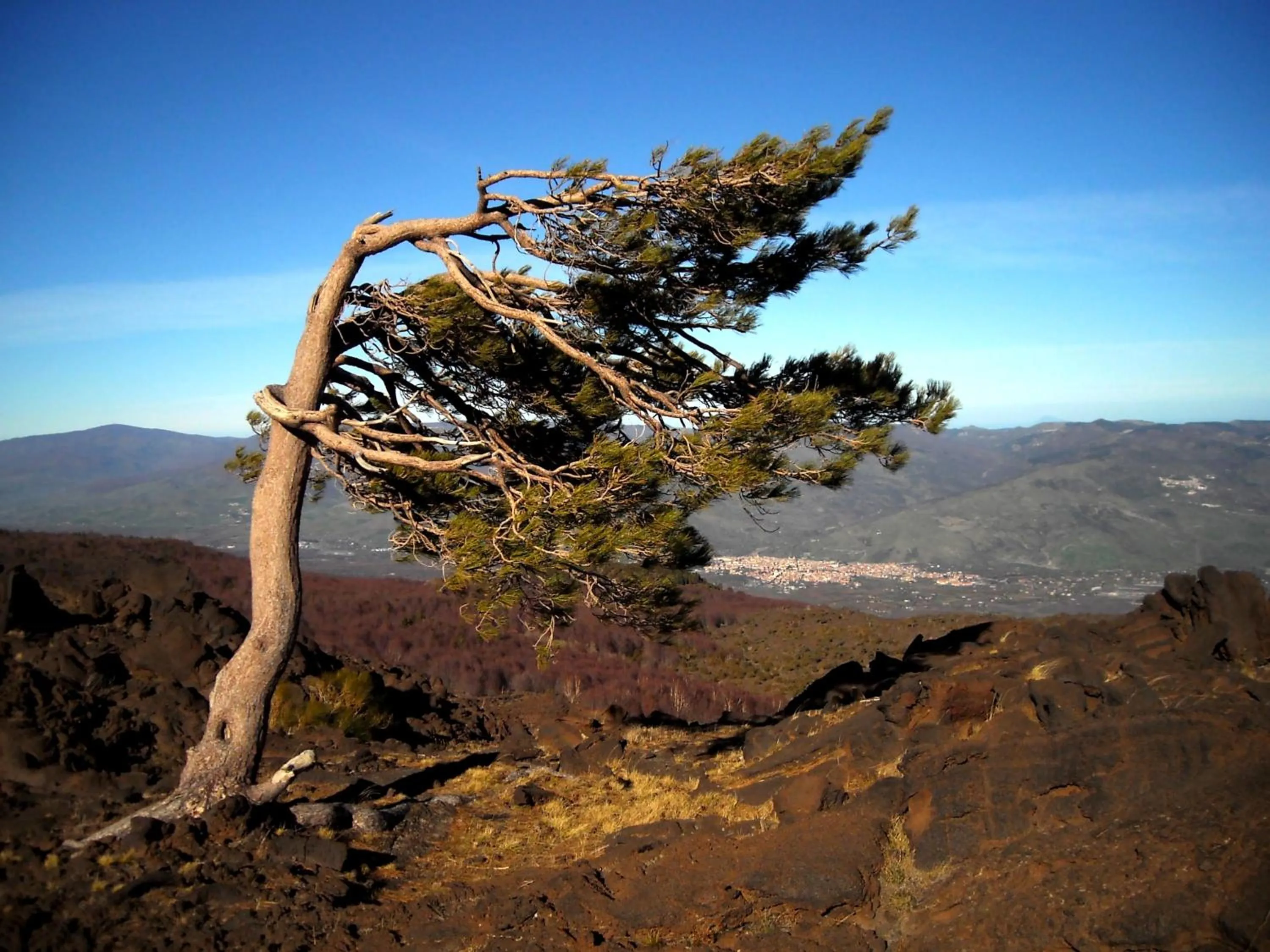 Hiking in Etna B&B La casa di Pippinitto
