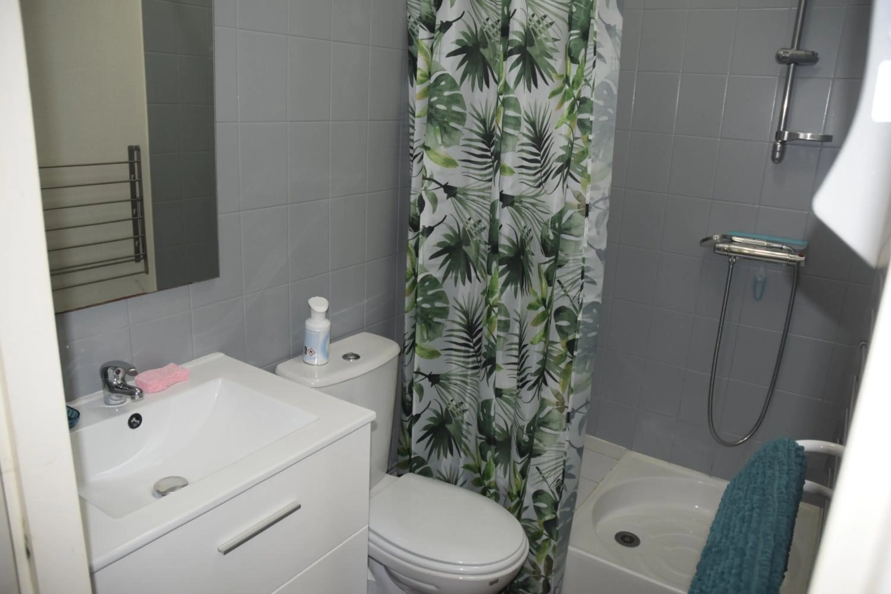 Shower in Appart-alma