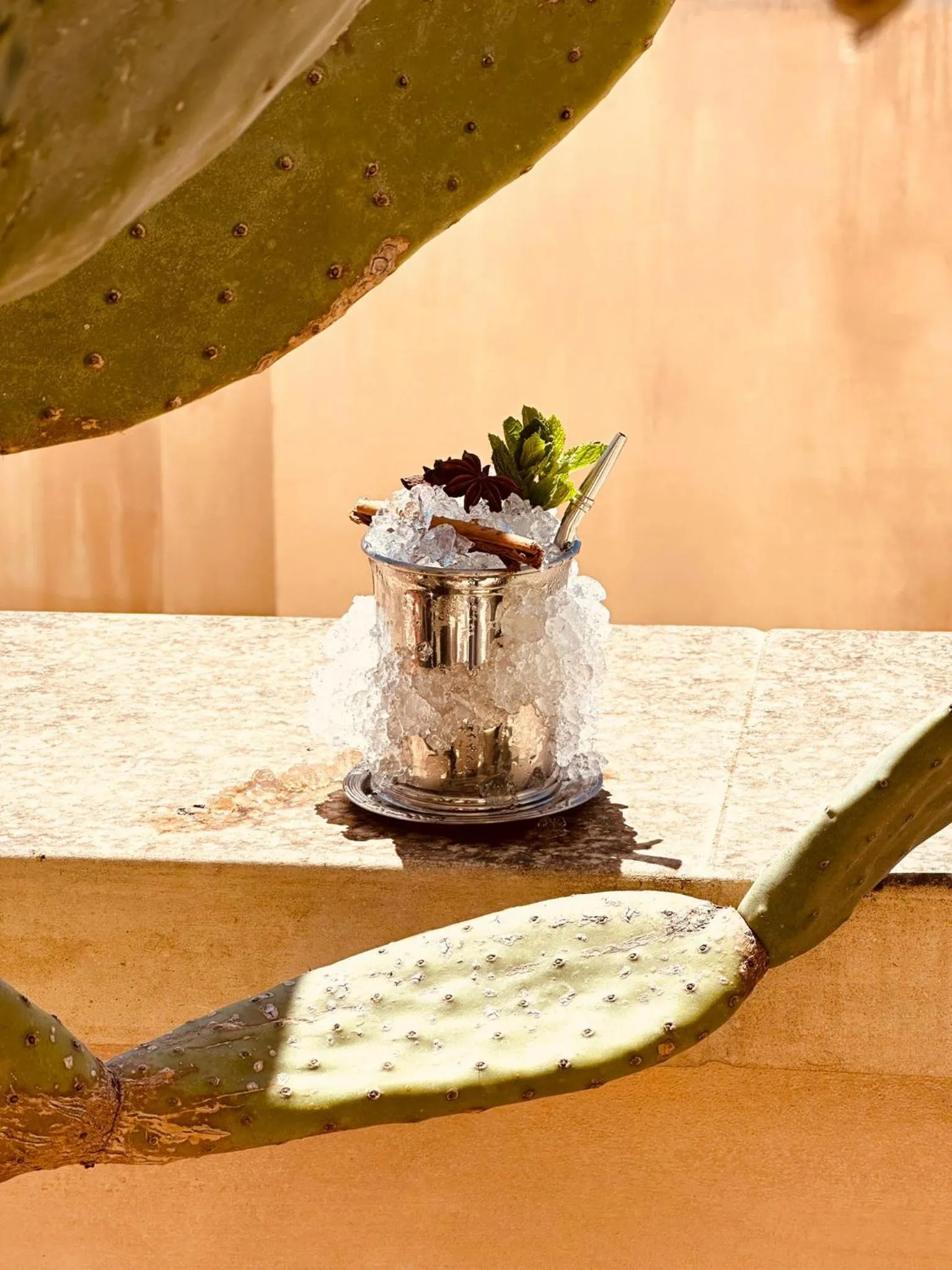 Balcony/Terrace in Palazzo Presta