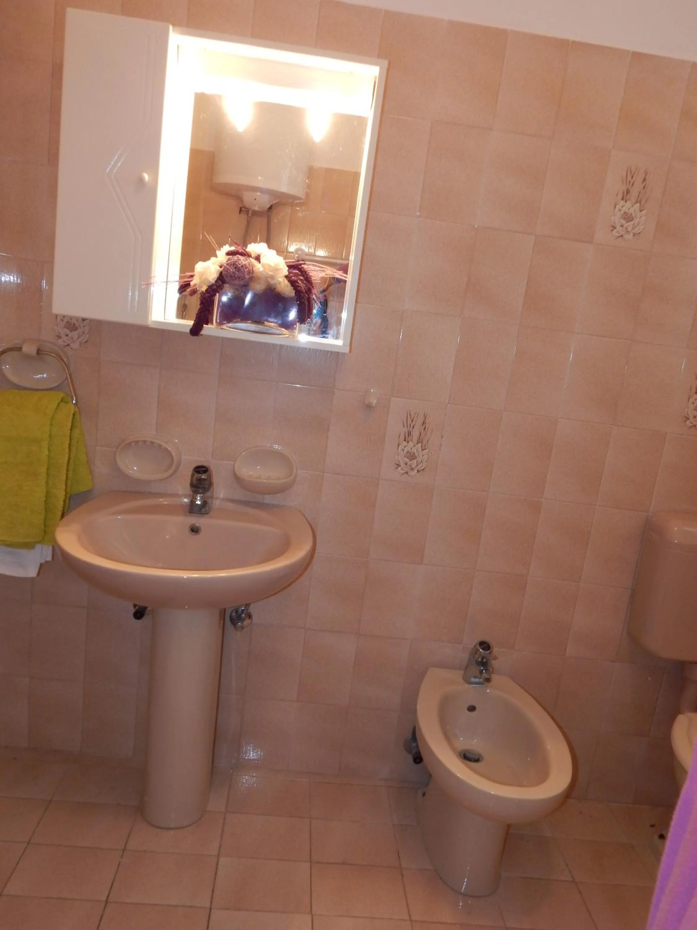 Bathroom in Apartment Štrmac