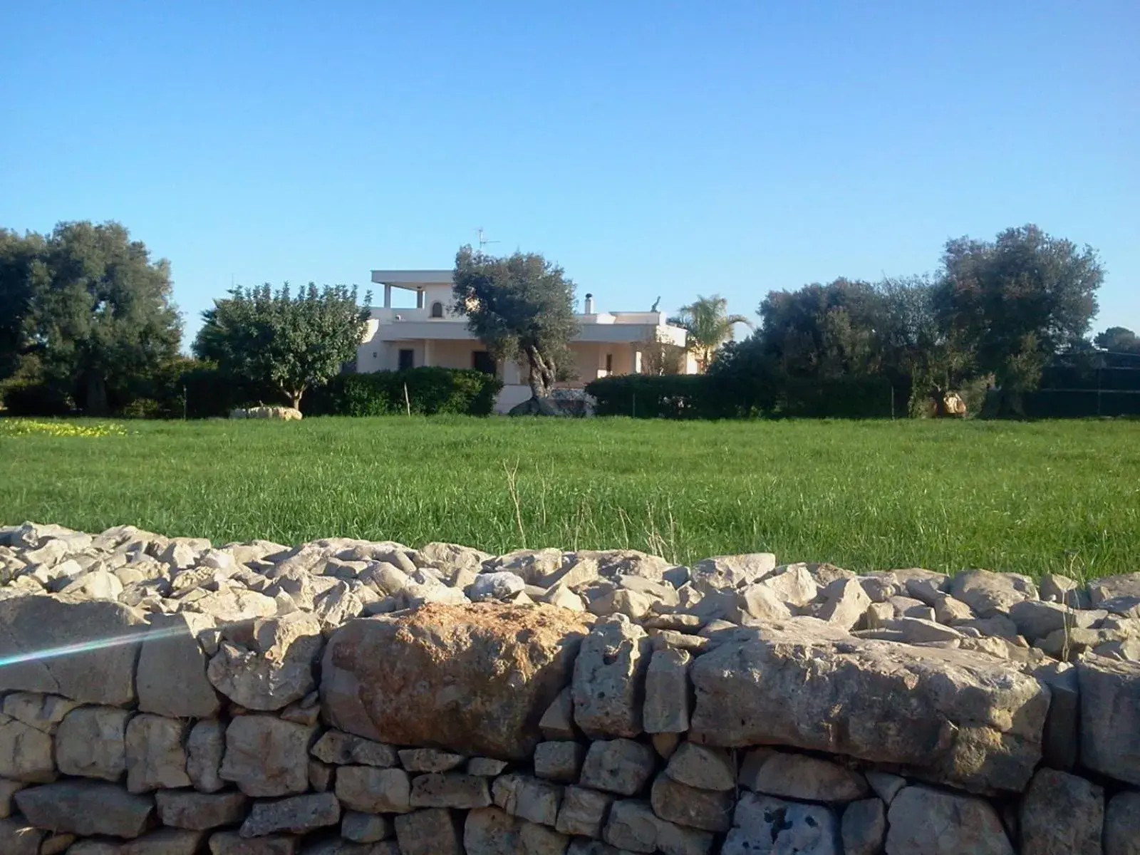 Property building in Villa Narducci Property building in Villa Narducci