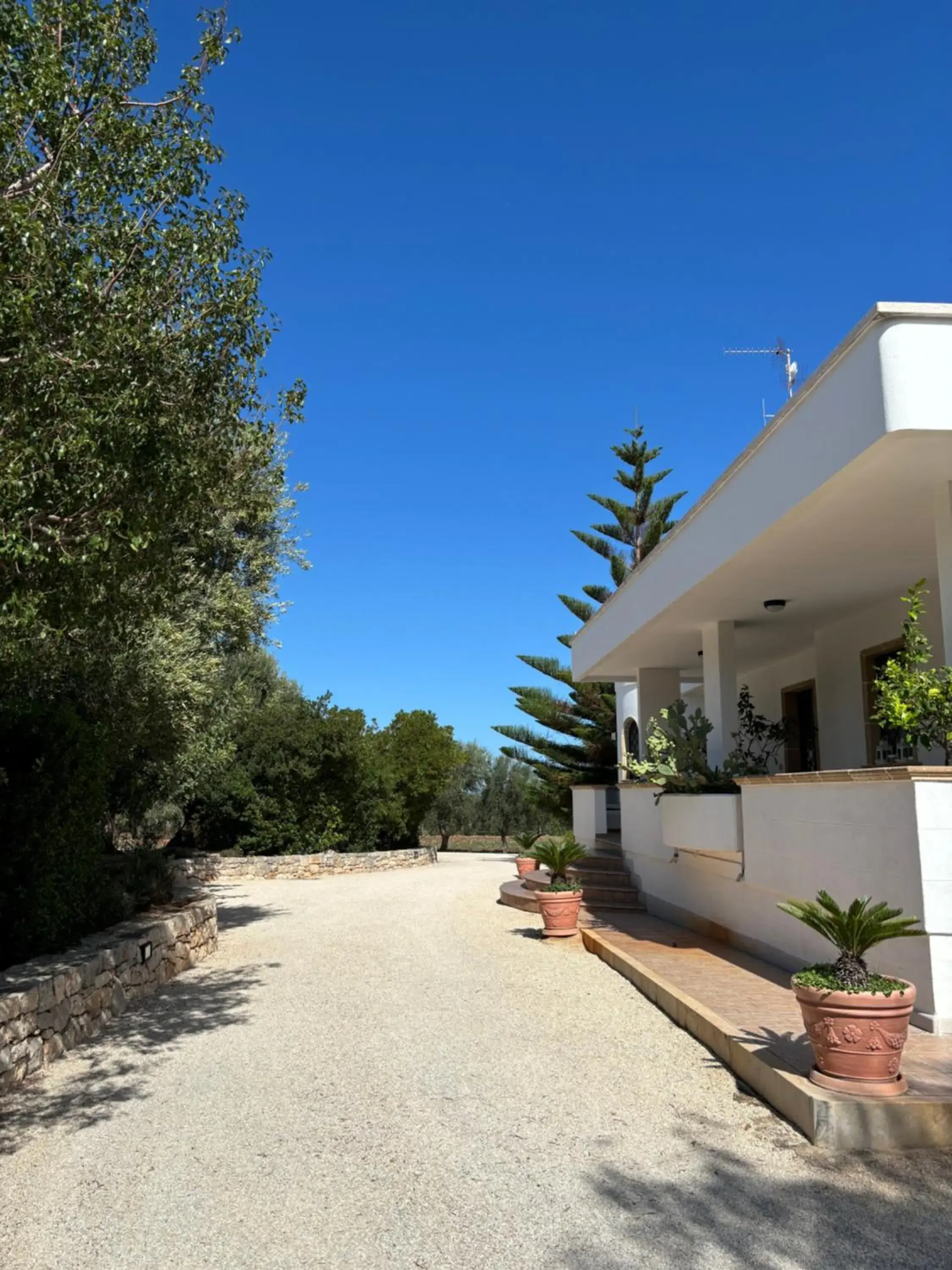 Property building in Villa Narducci Property building in Villa Narducci