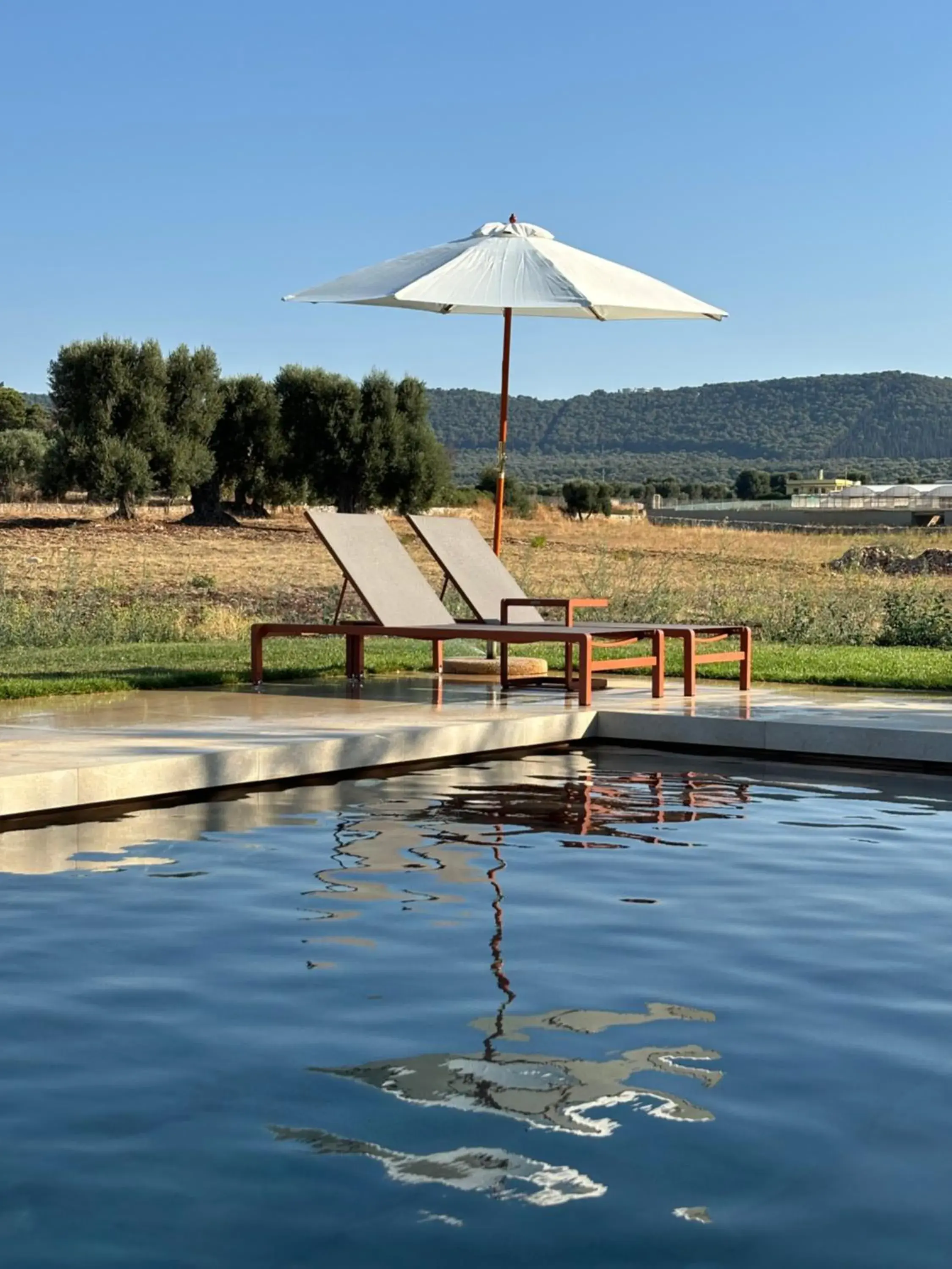 Villa Narducci Villa Narducci