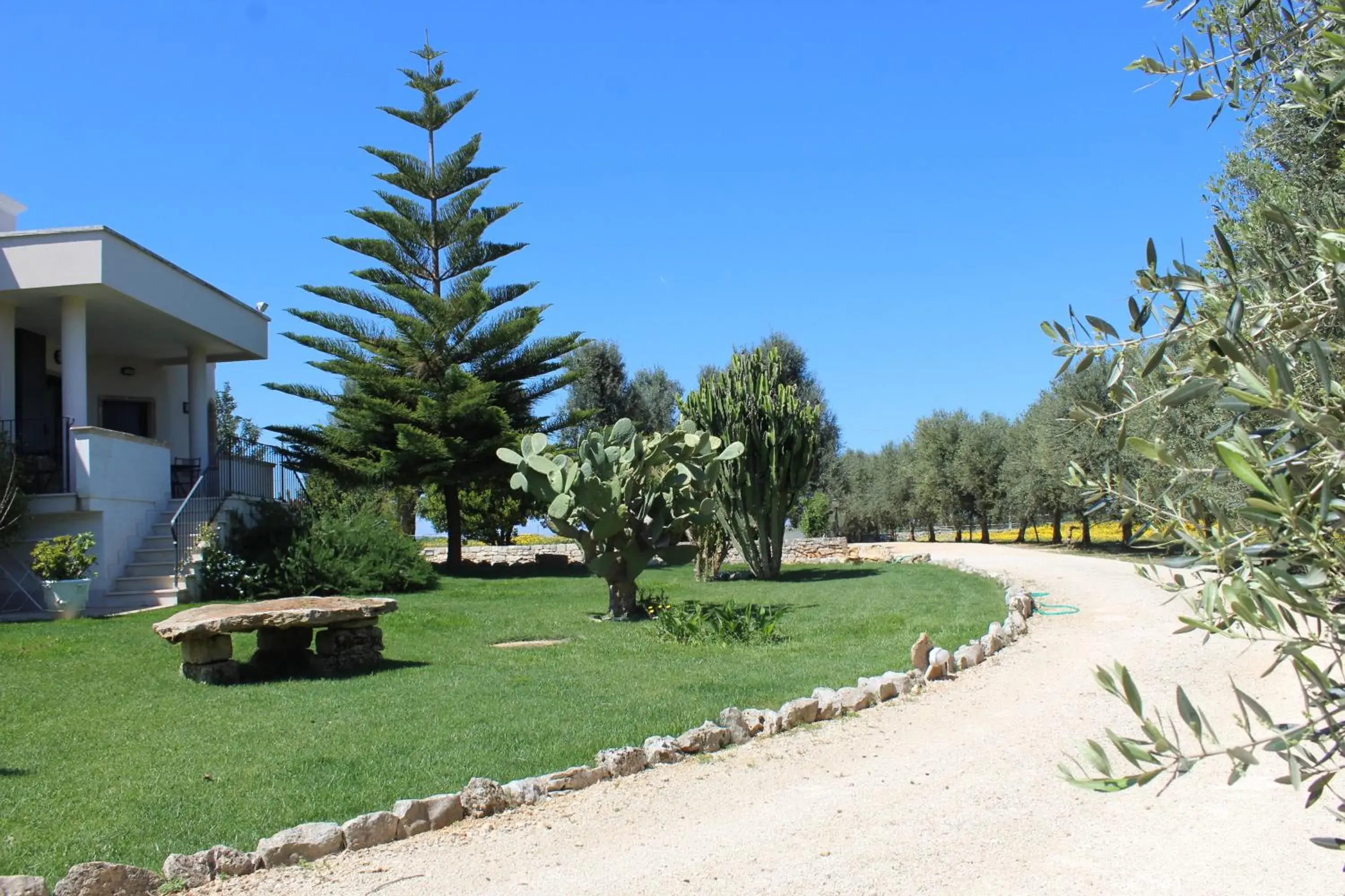 Property building in Villa Narducci Property building in Villa Narducci