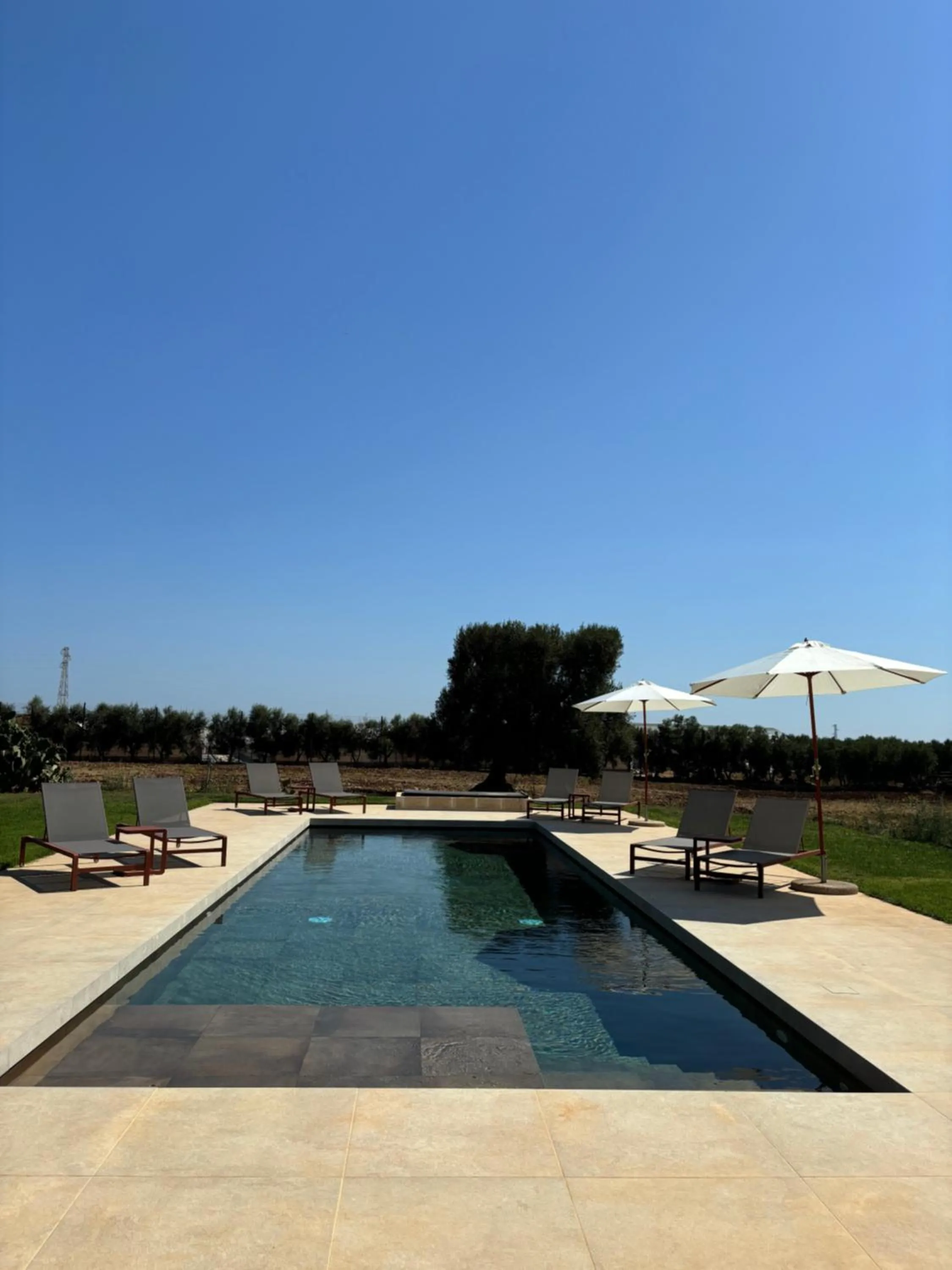 Swimming pool in Villa Narducci