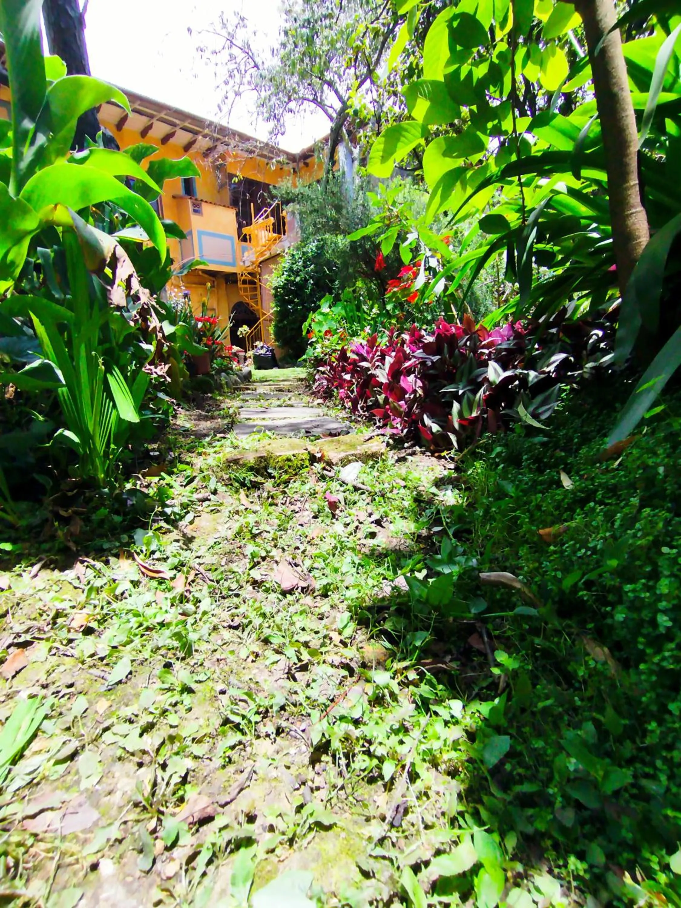 Natural landscape in Hotel Boutique Casa Montalvo Cuenca