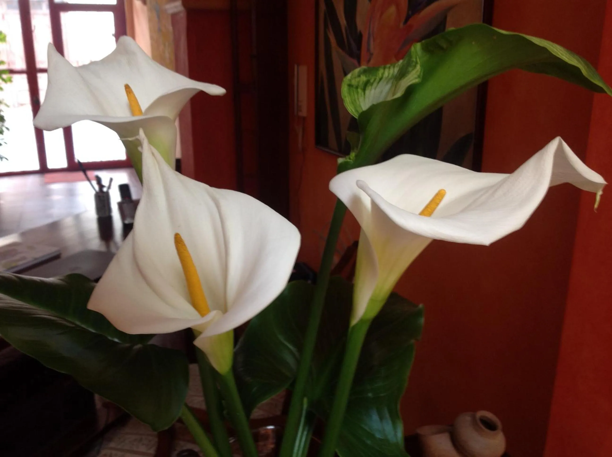 Decorative detail in Hotel Boutique Casa Montalvo Cuenca