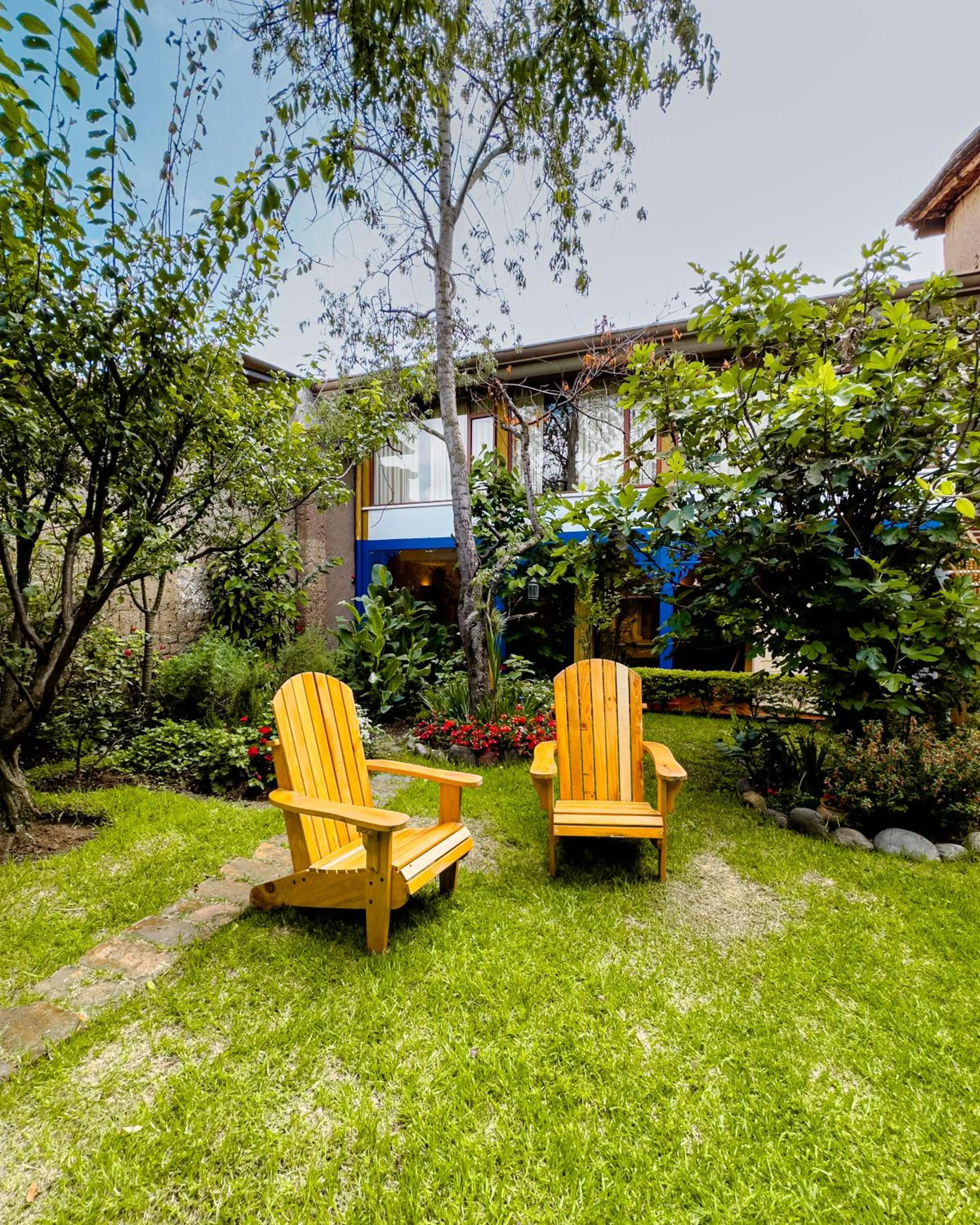 Natural landscape in Hotel Boutique Casa Montalvo Cuenca