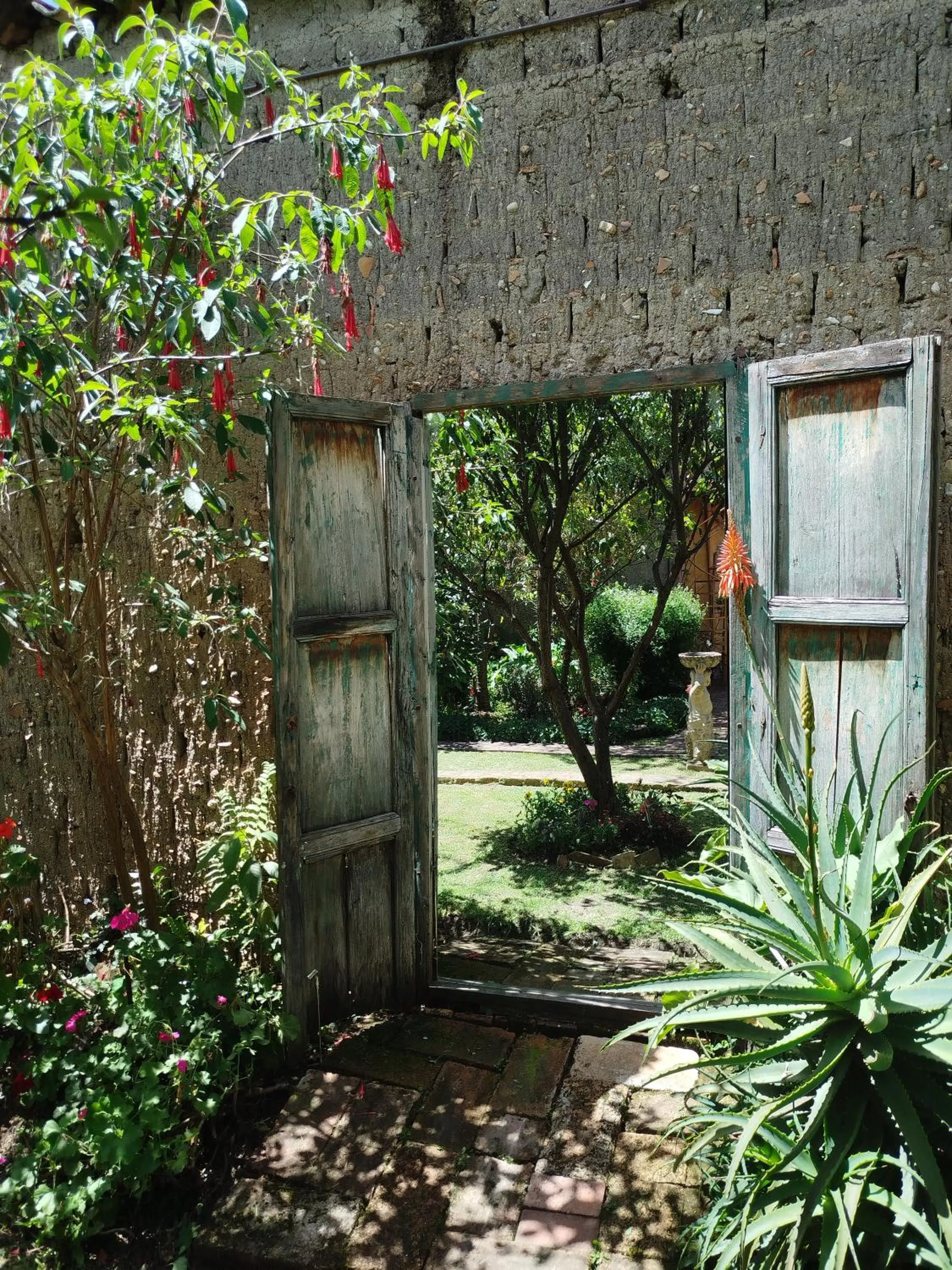 Spring in Hotel Boutique Casa Montalvo Cuenca