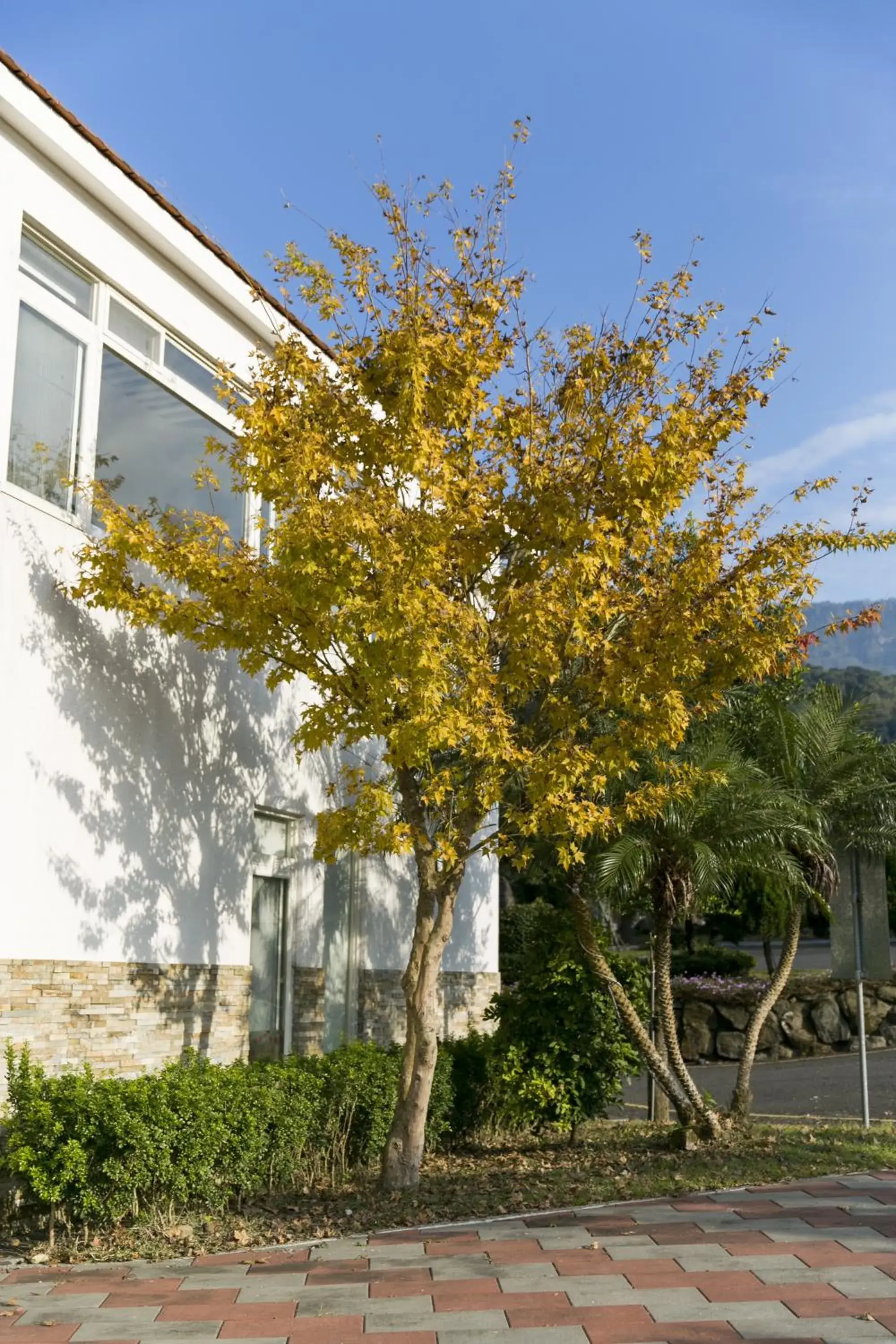 Garden, Property Building in Guanziling Lin Kuei Yuan Hot Spring Resort