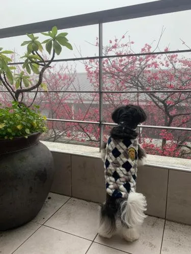 Sanyi Wei Wei Feng B&B