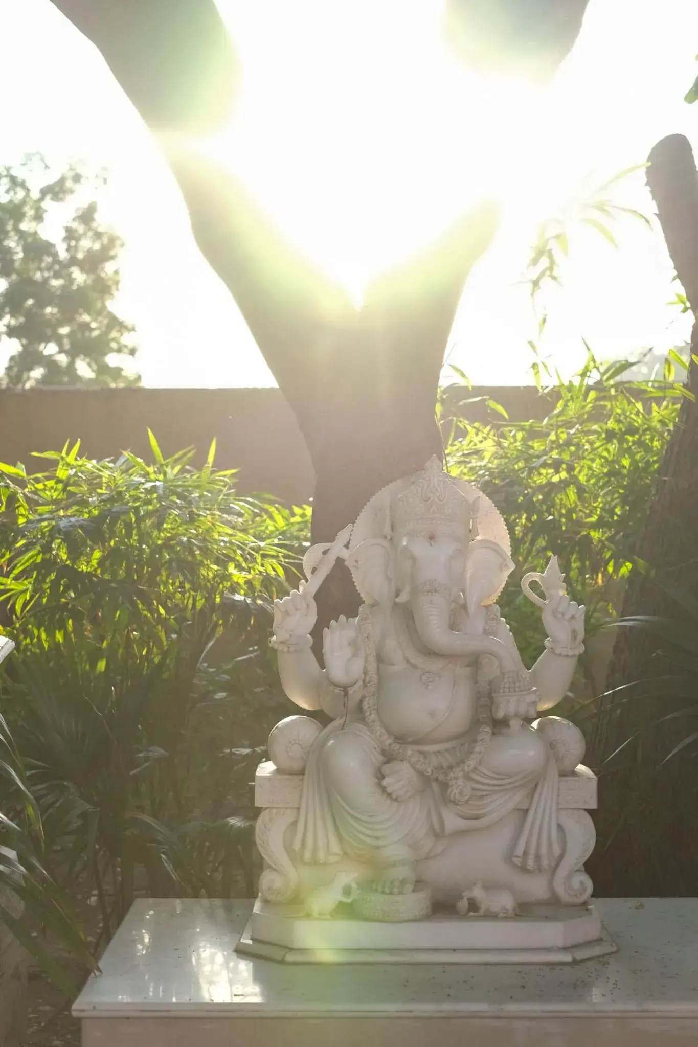 Property building in Rajmahal Palace RAAS Property building in Rajmahal Palace RAAS