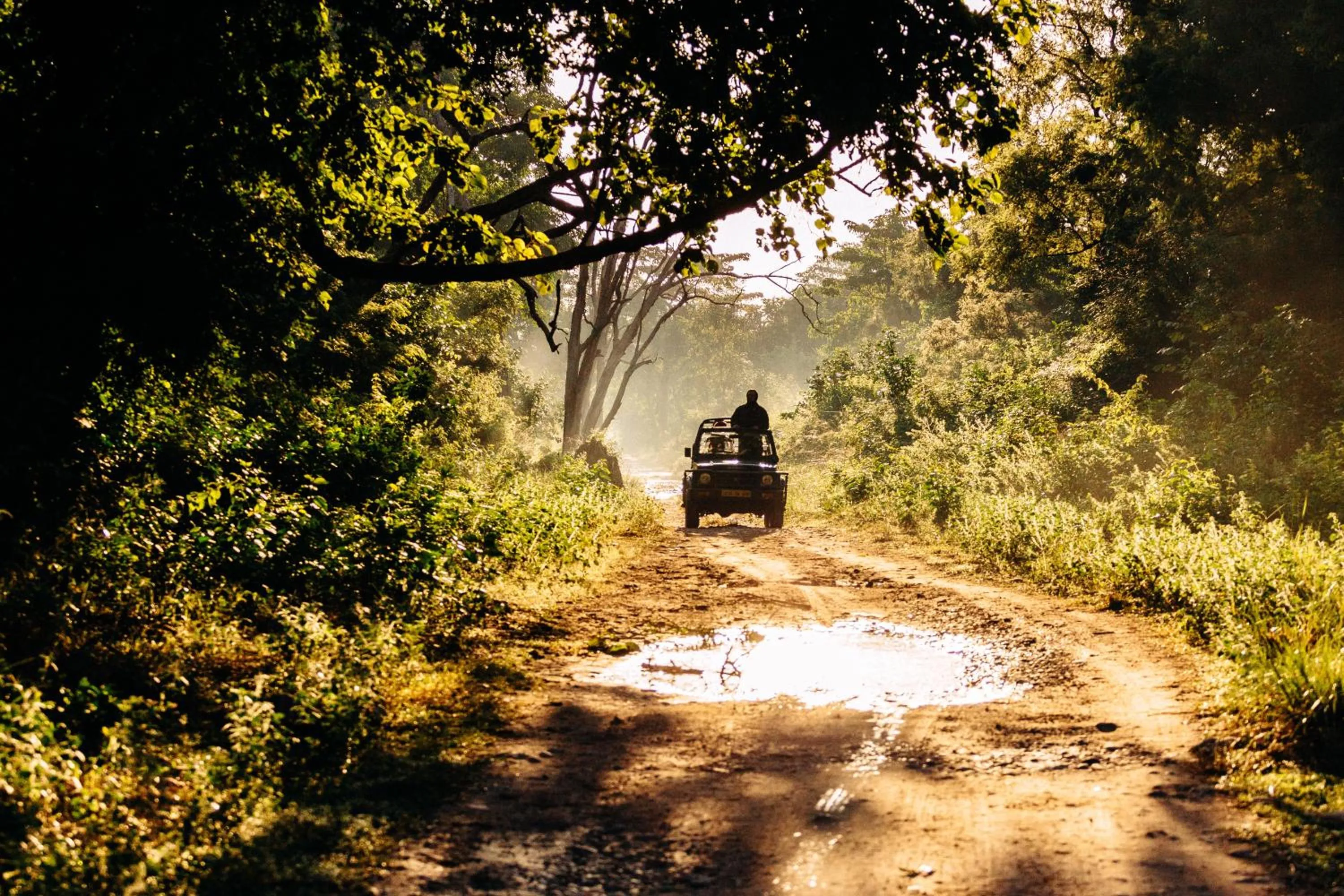 Activities in Sterling Corbett