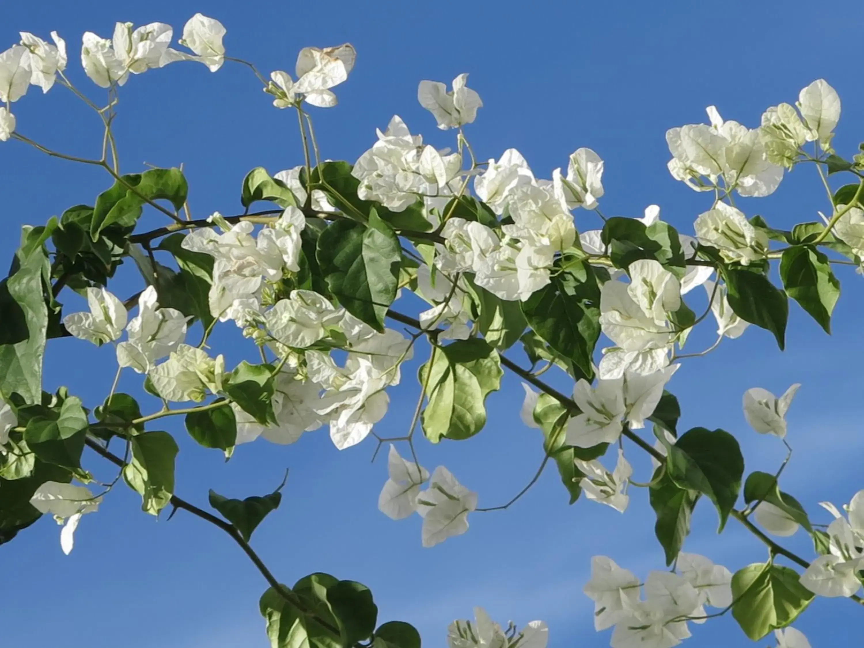 Street view in Riad Dar Mamouni Street view in Riad Dar Mamouni