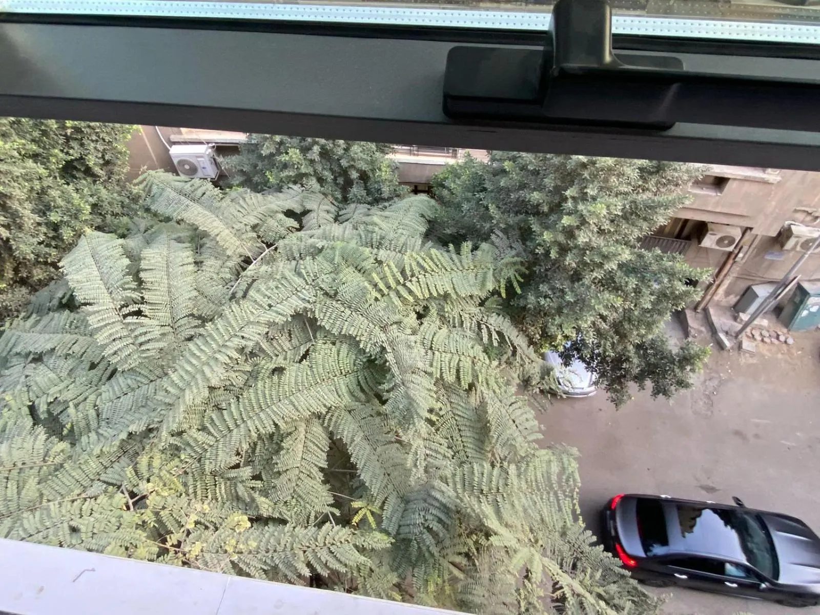 Day in Golden Season Hotel