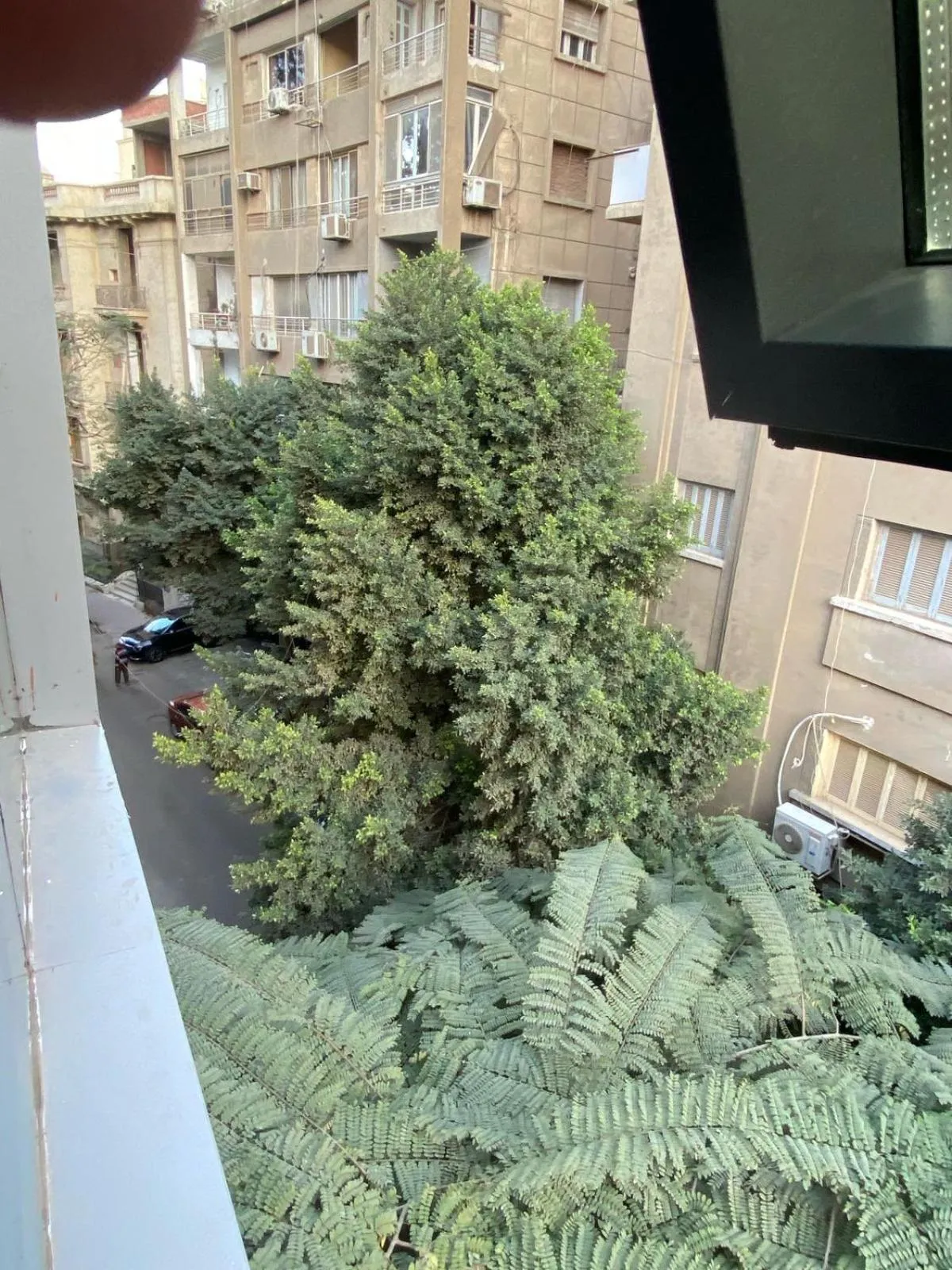 Garden view in Golden Season Hotel