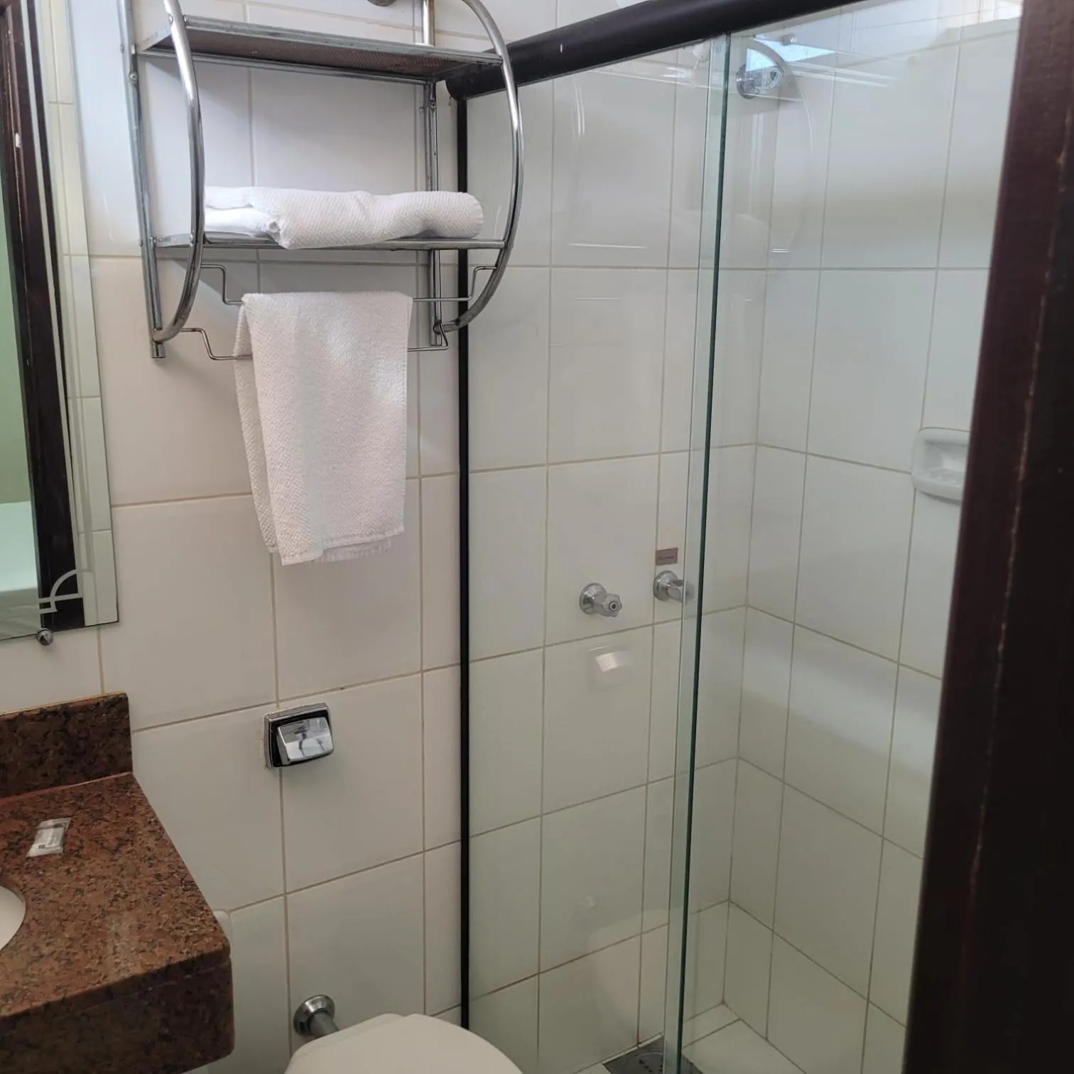 Bathroom in Gran Roza Hotel