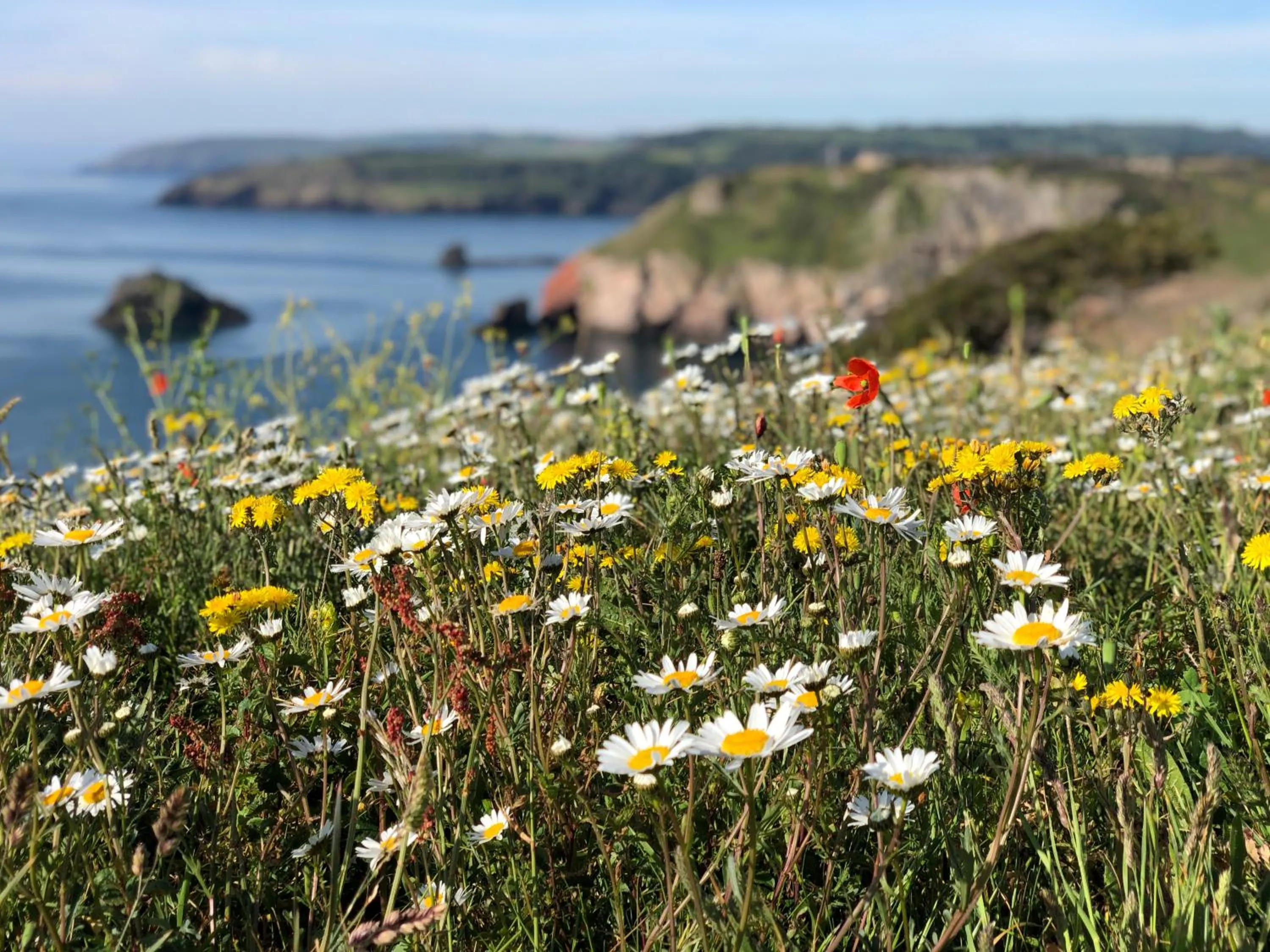 Neighbourhood in Cherry Tree Hotel