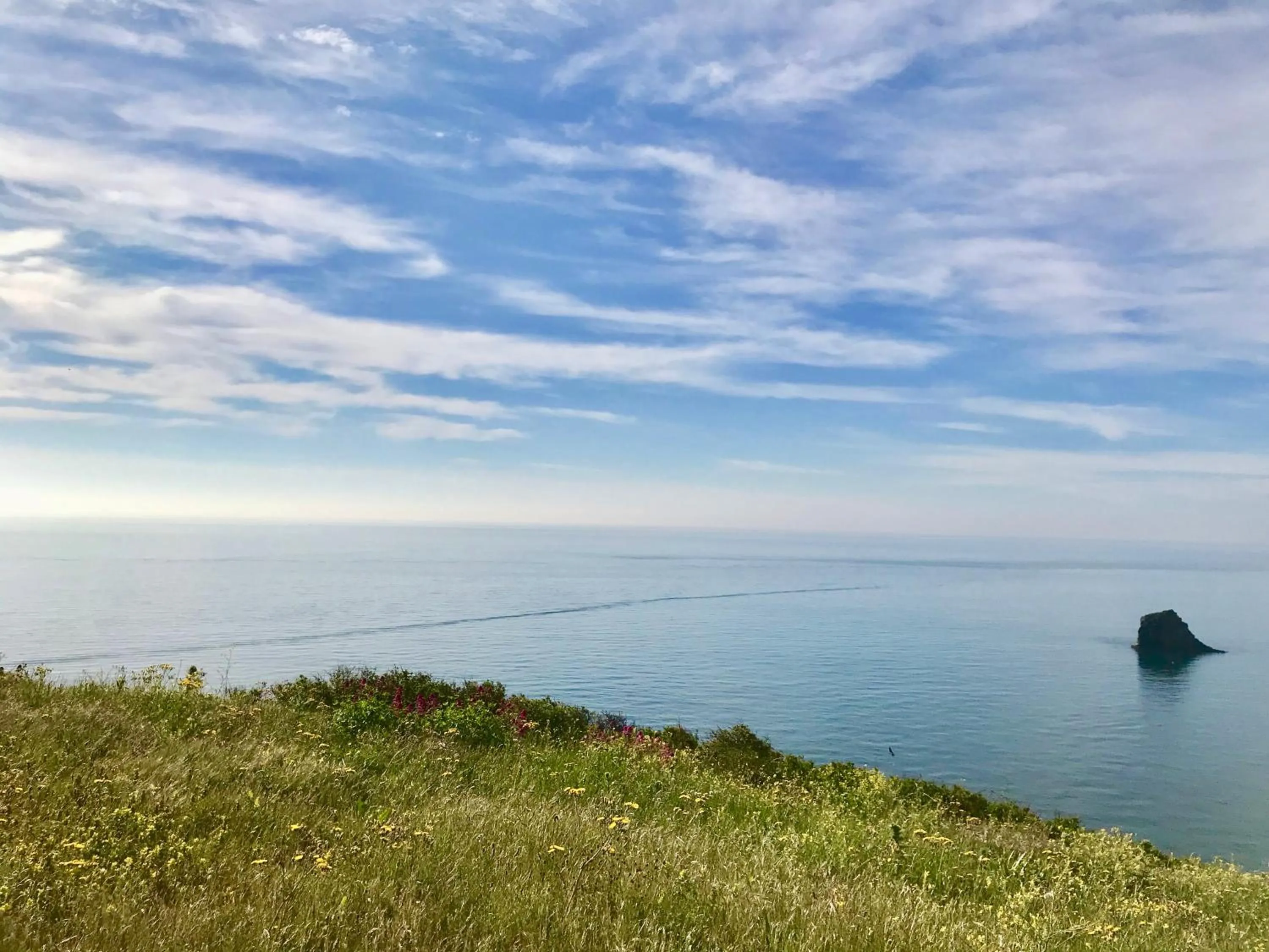 Neighbourhood in Cherry Tree Hotel