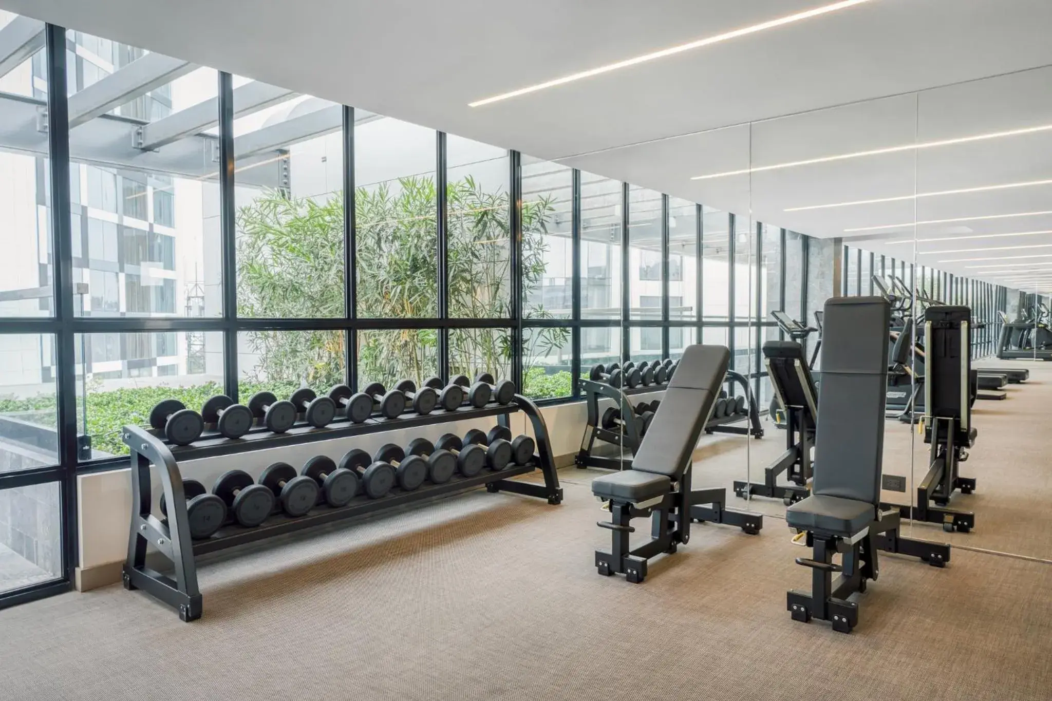 Fitness centre/facilities in Hotel Indigo Lima Miraflores by IHG Fitness centre/facilities in Hotel Indigo Lima Miraflores by IHG