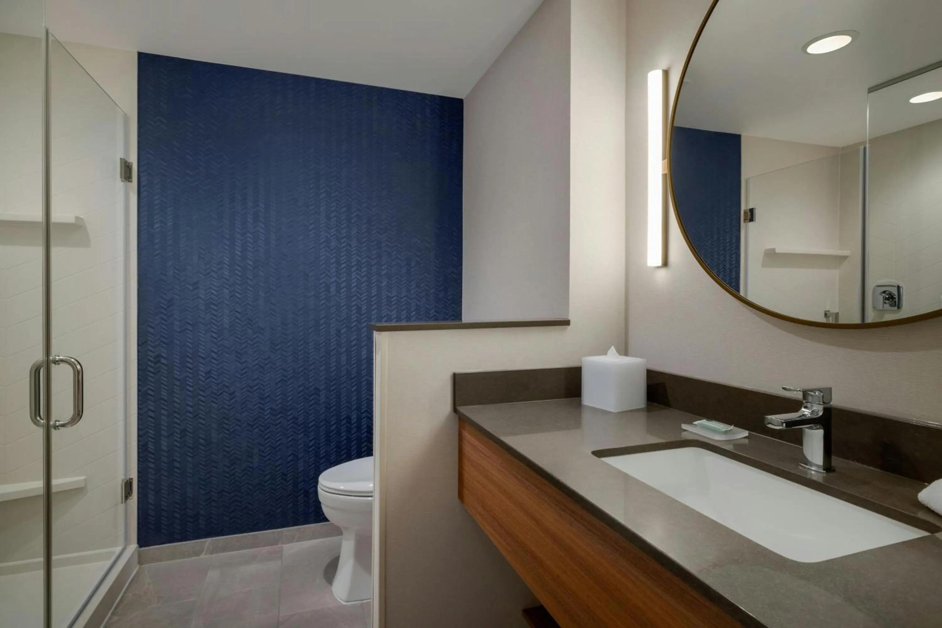 Standard King Room in Fairfield by Marriott Inn & Suites Lancaster