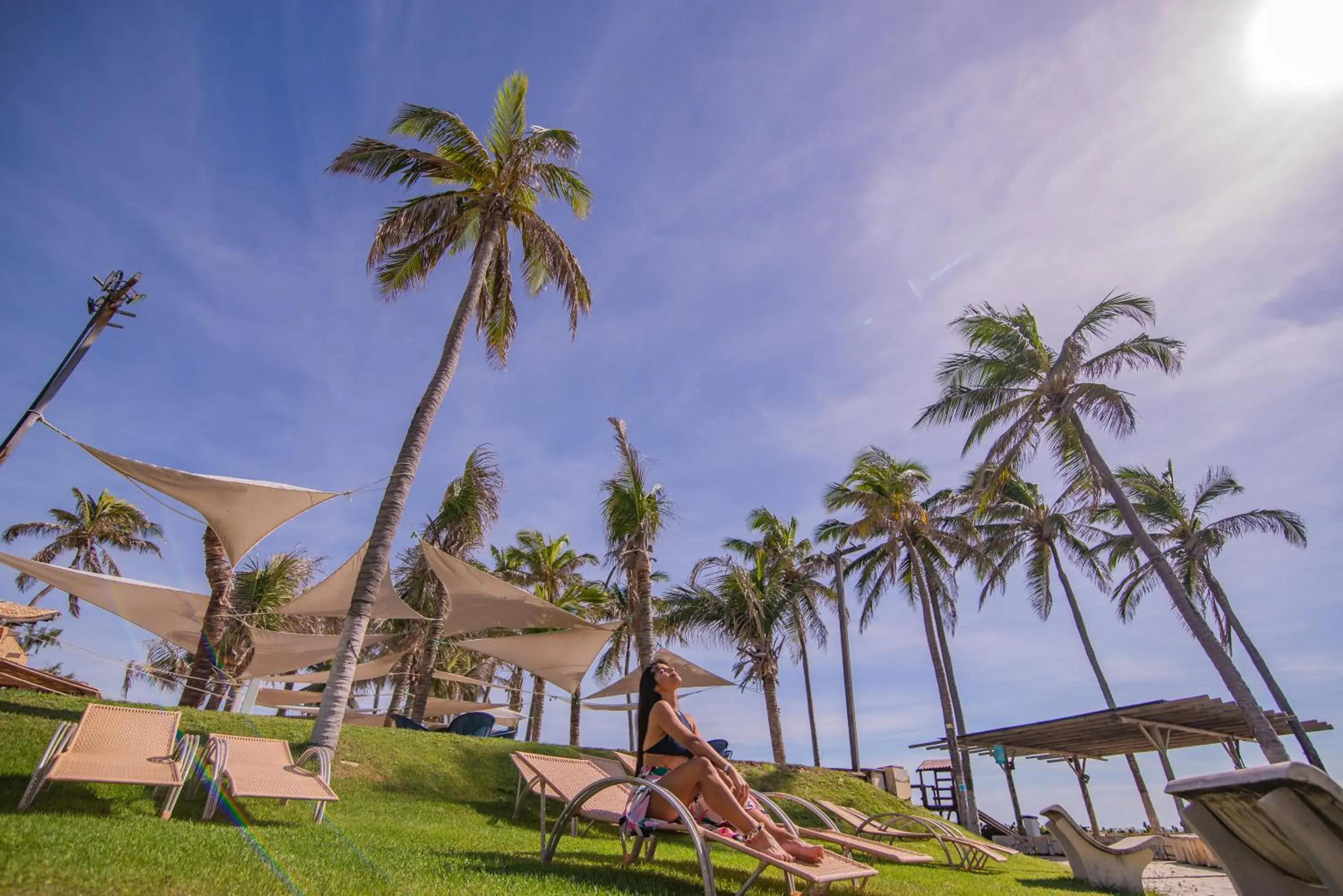 sunbed in Coliseum Beach Hotel All Inclusive sunbed in Coliseum Beach Hotel All Inclusive