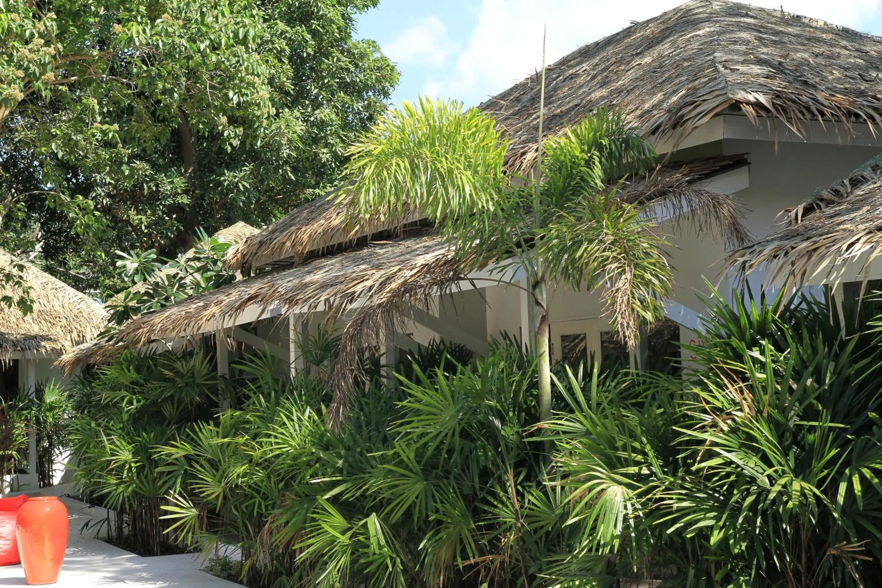 Other in The White Cottage