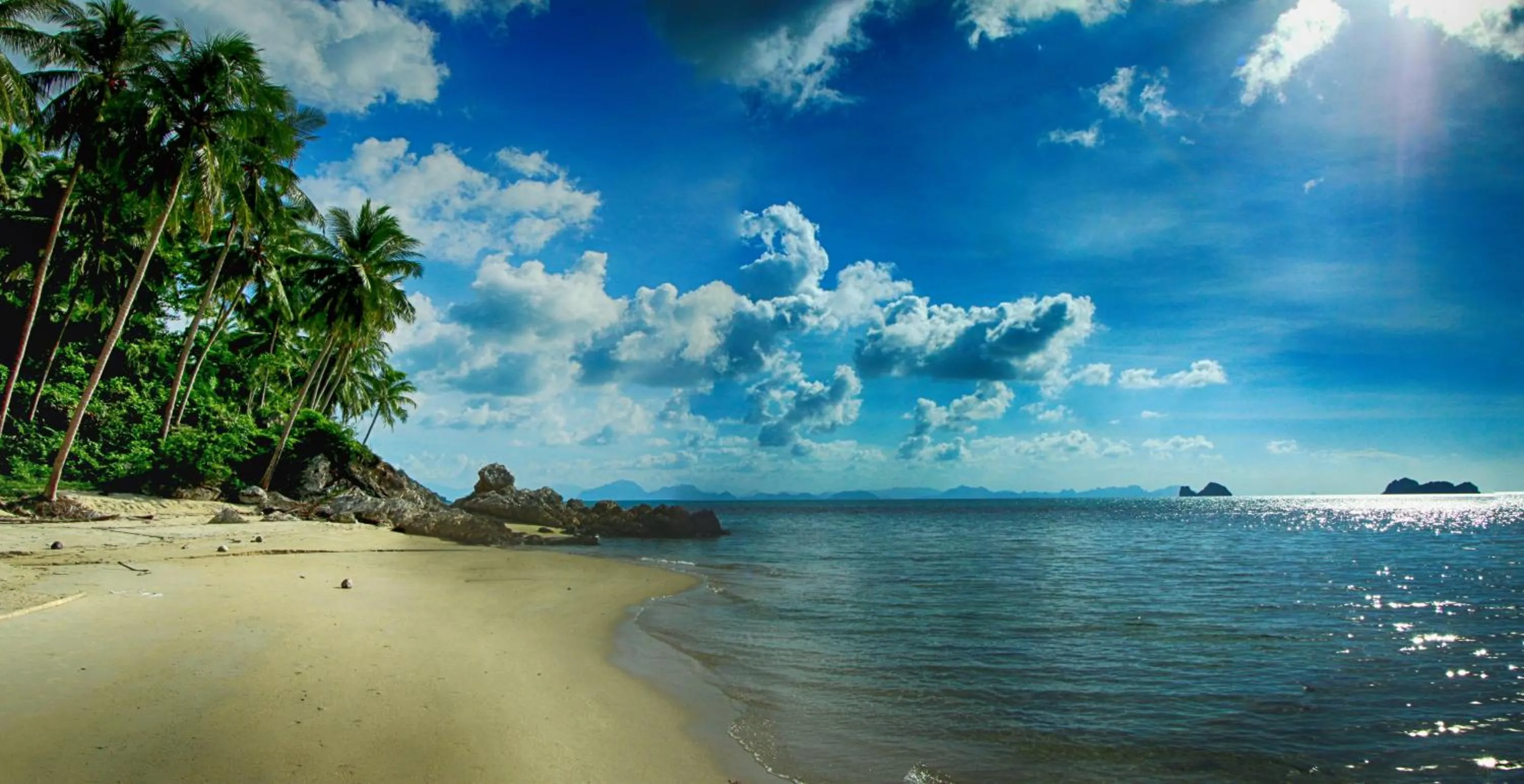 Activities in The White Cottage