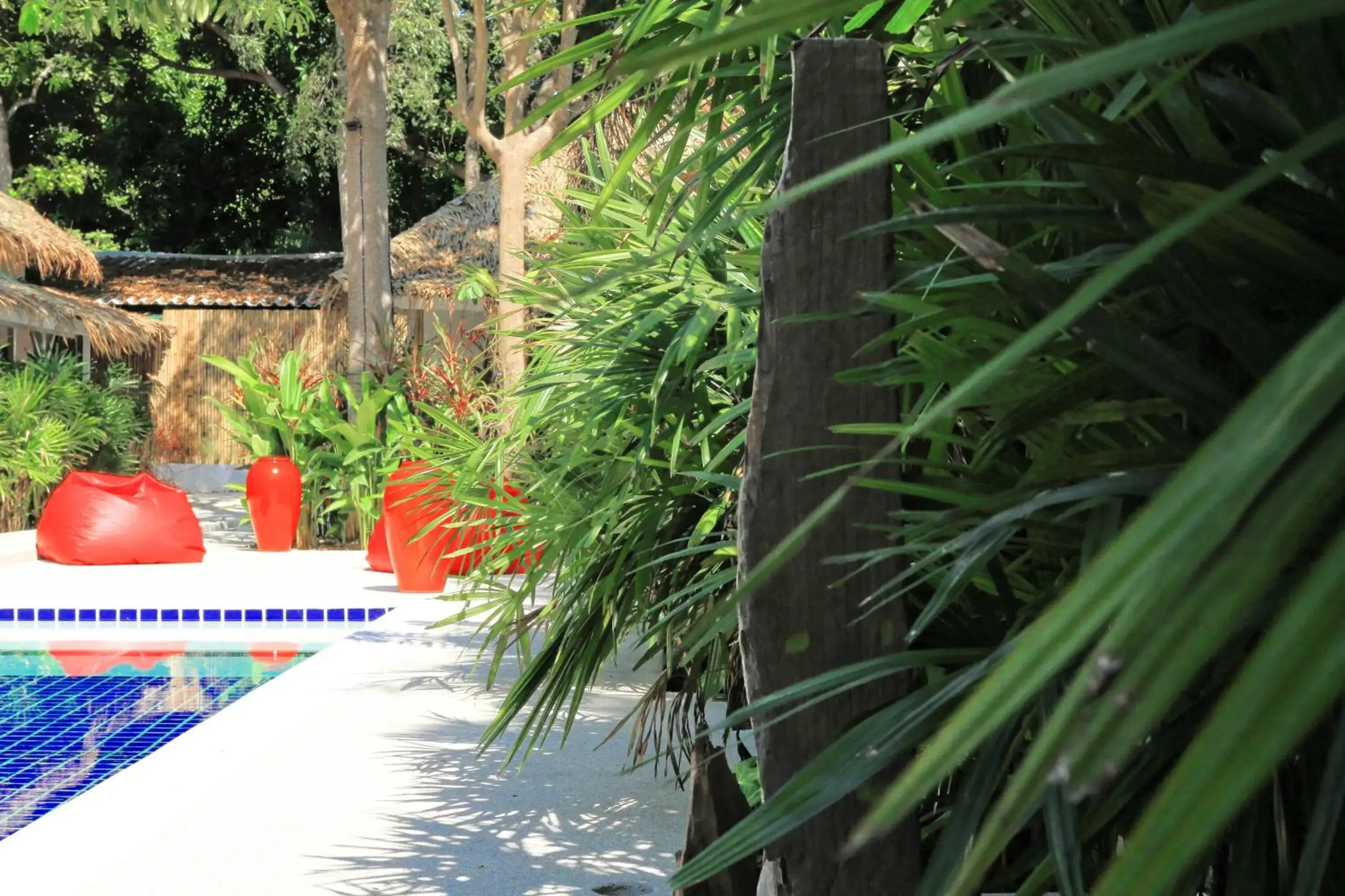 Garden view in The White Cottage Garden view in The White Cottage