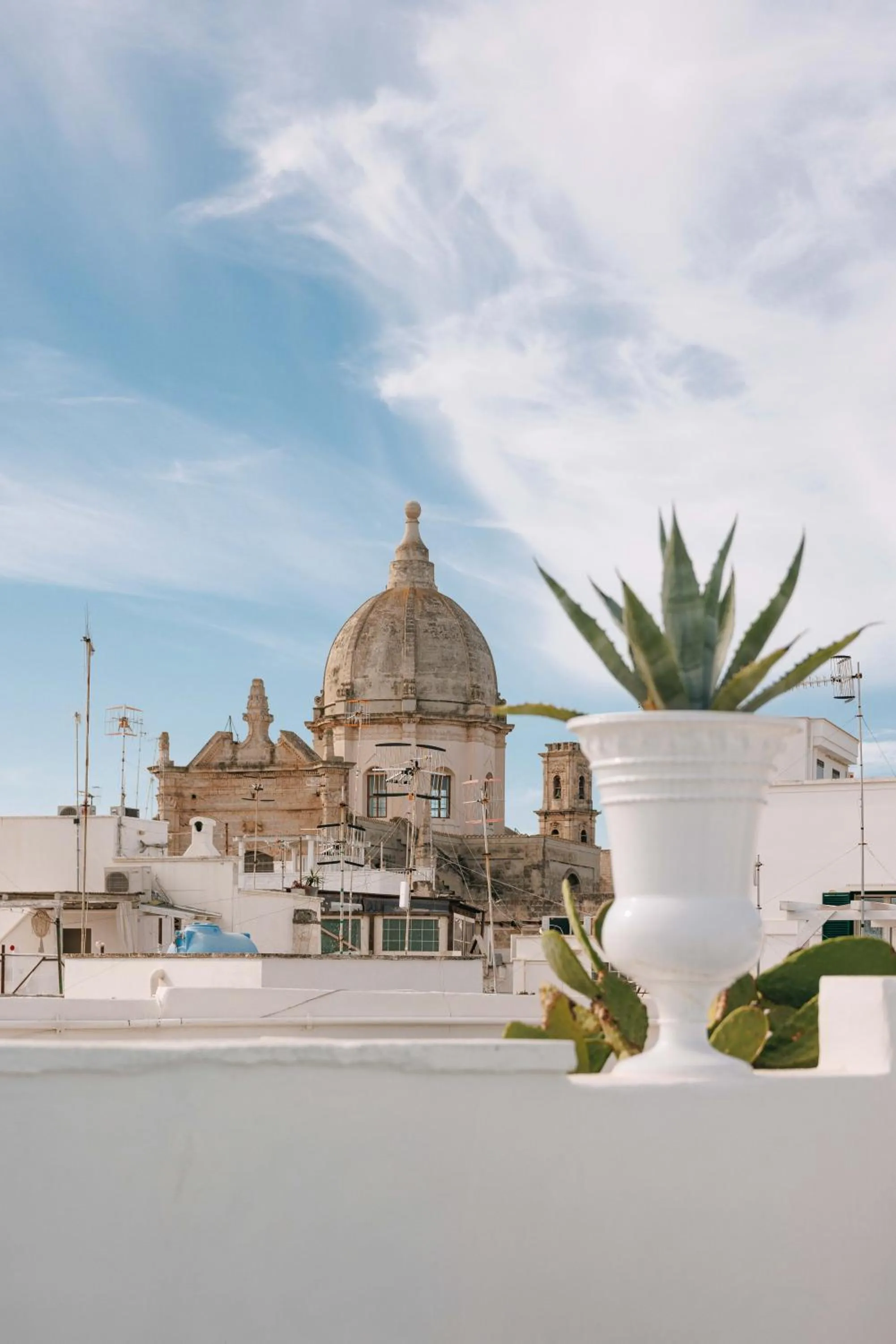 Bird's eye view in Santa Maria 24