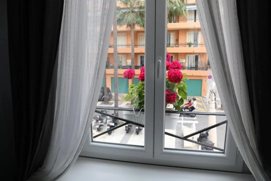 Street view in Apartments Monaco