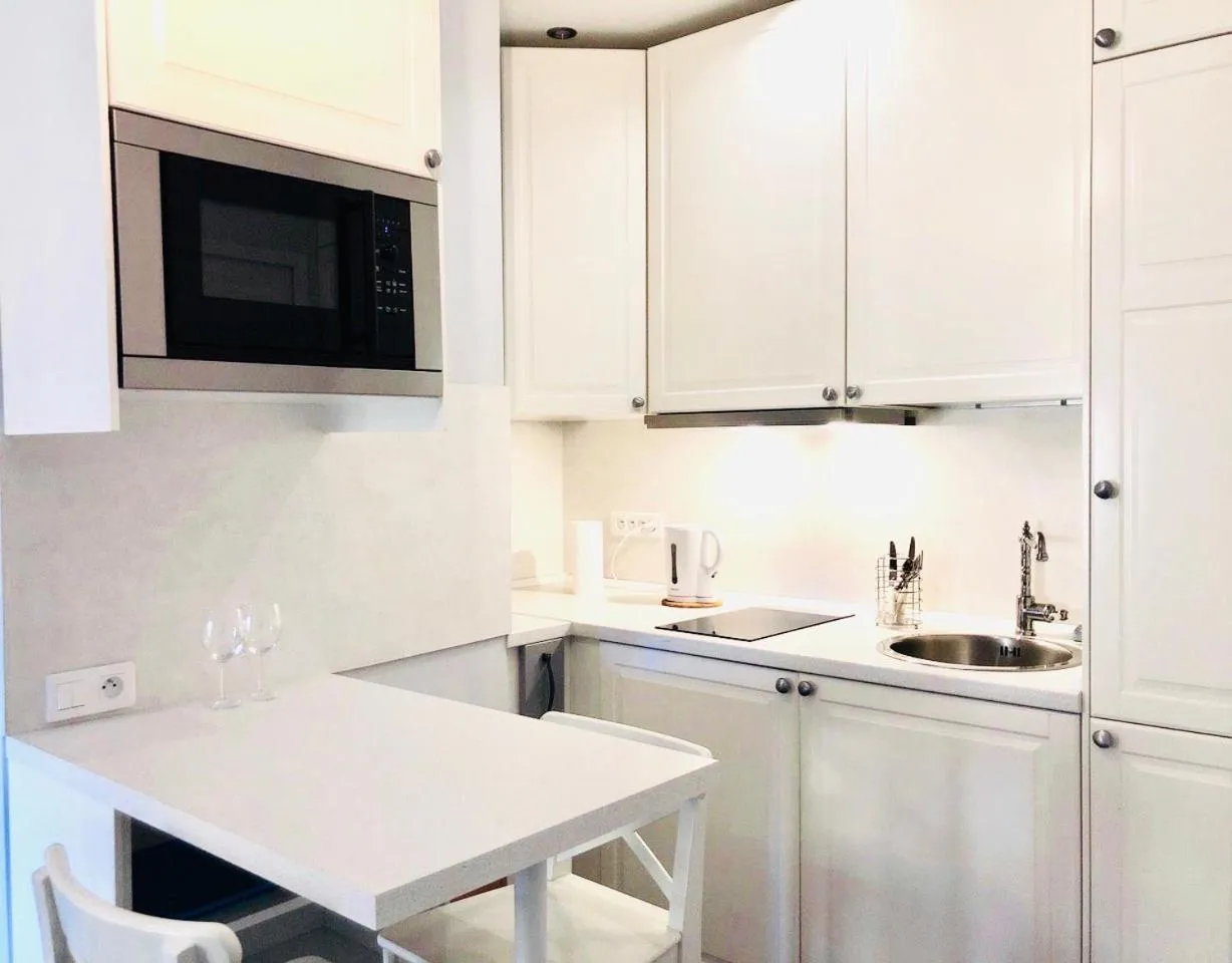 Kitchen or kitchenette in Apartments Monaco
