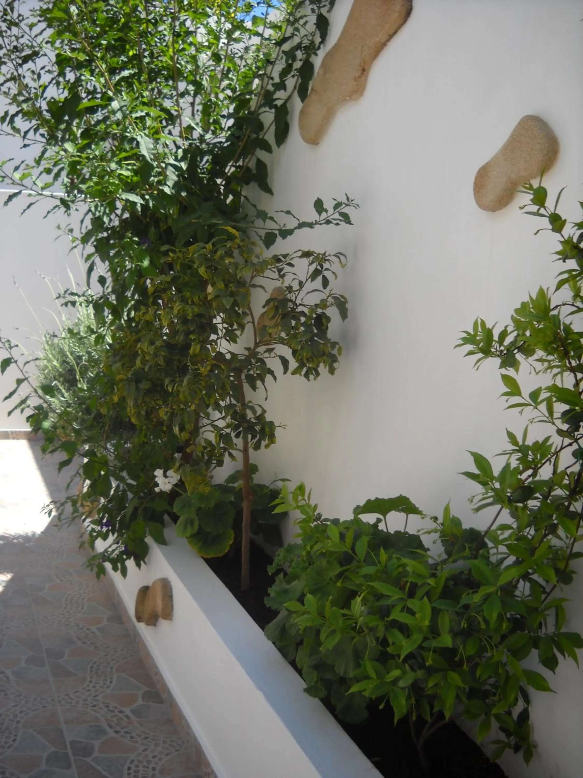 Decorative detail in Lindos Center Studios