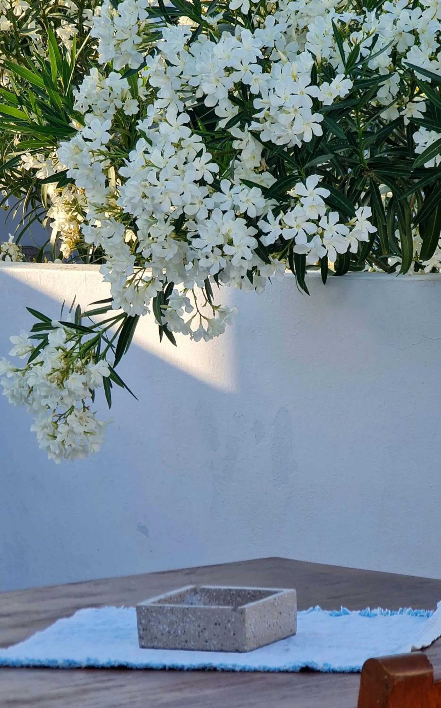 Natural landscape in Lindos Center Studios