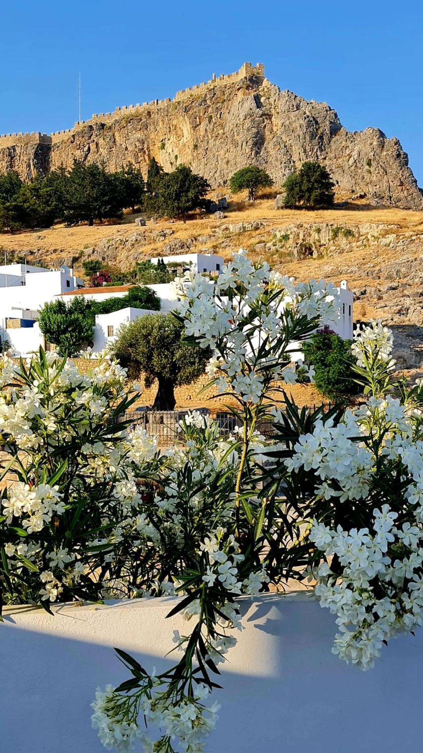 Natural landscape in Lindos Center Studios