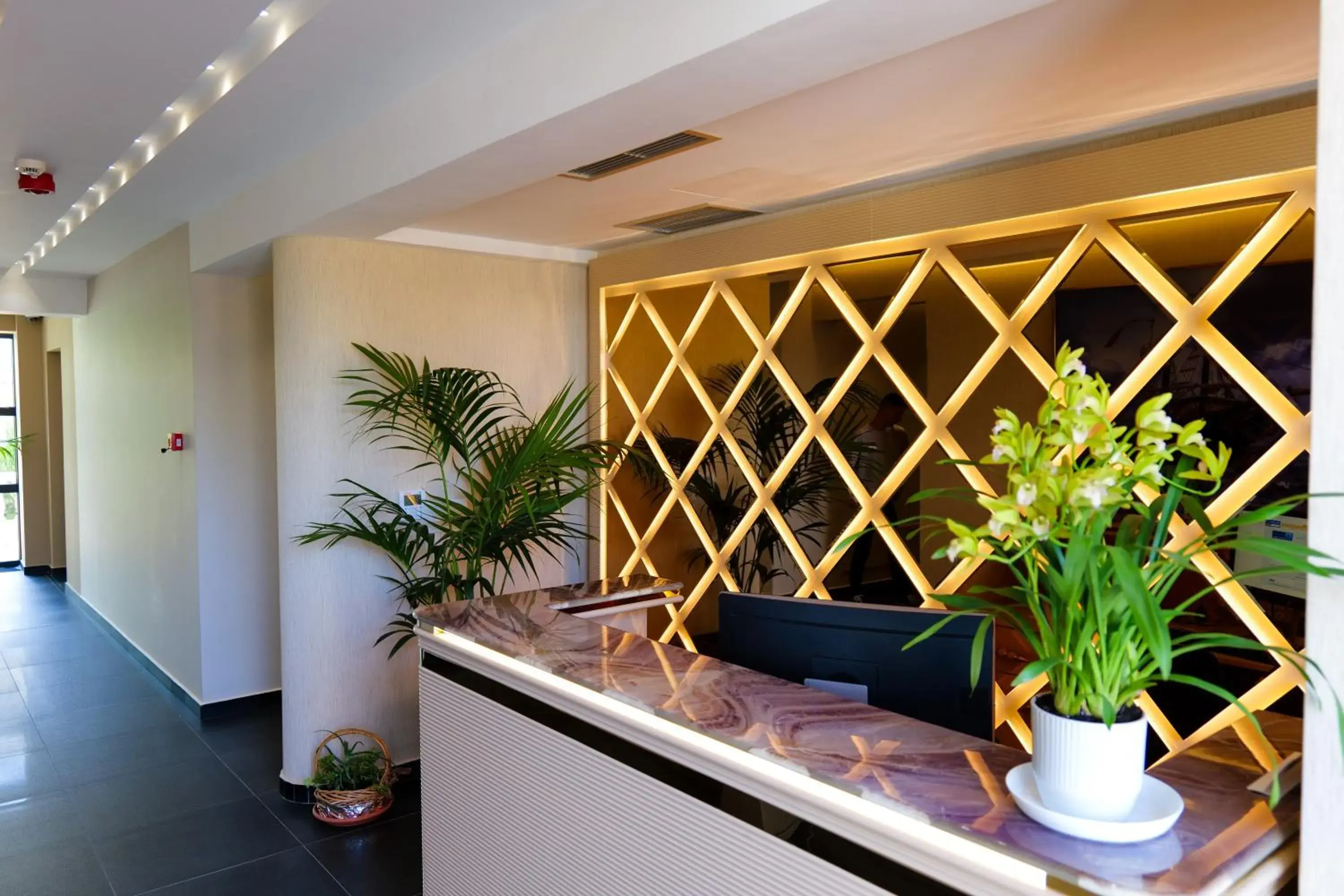 Lobby or reception in Bora Bora Hotel Ksamil Lobby or reception in Bora Bora Hotel Ksamil