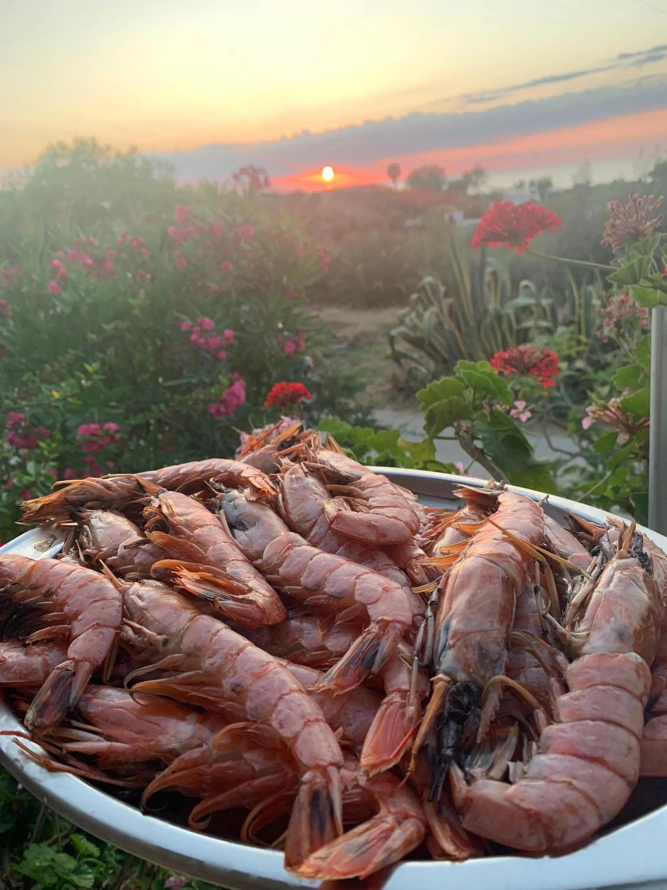 Property building in B&B A casa di Picci