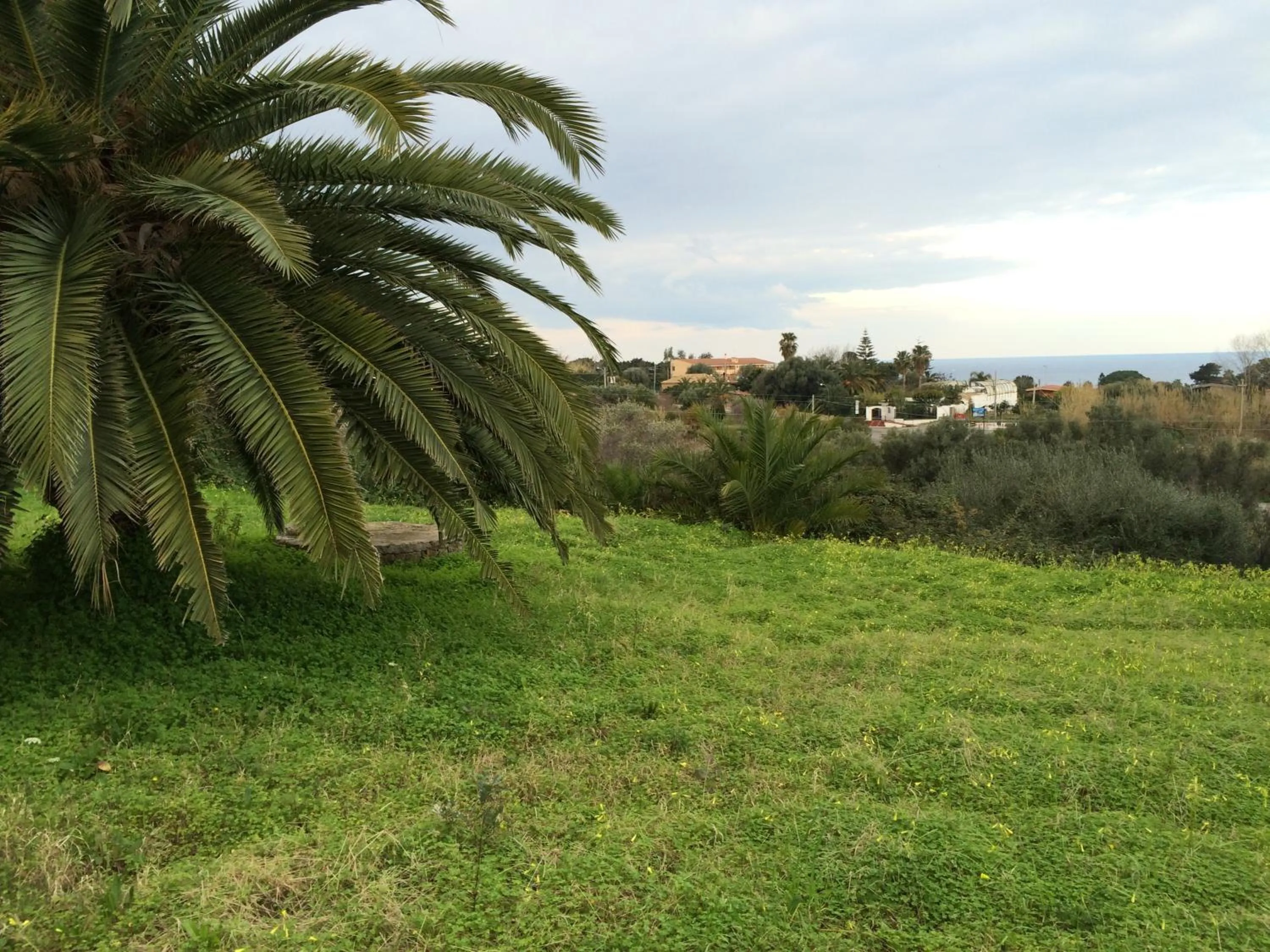 Other in B&B A casa di Picci