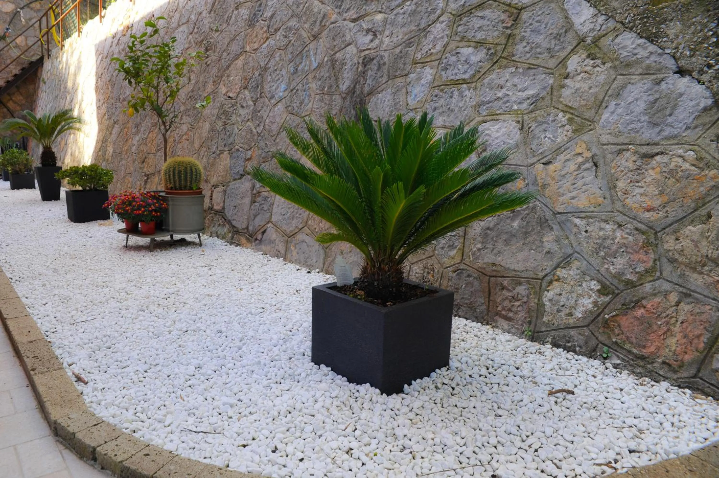 Decorative detail in Via delle 5 Terre