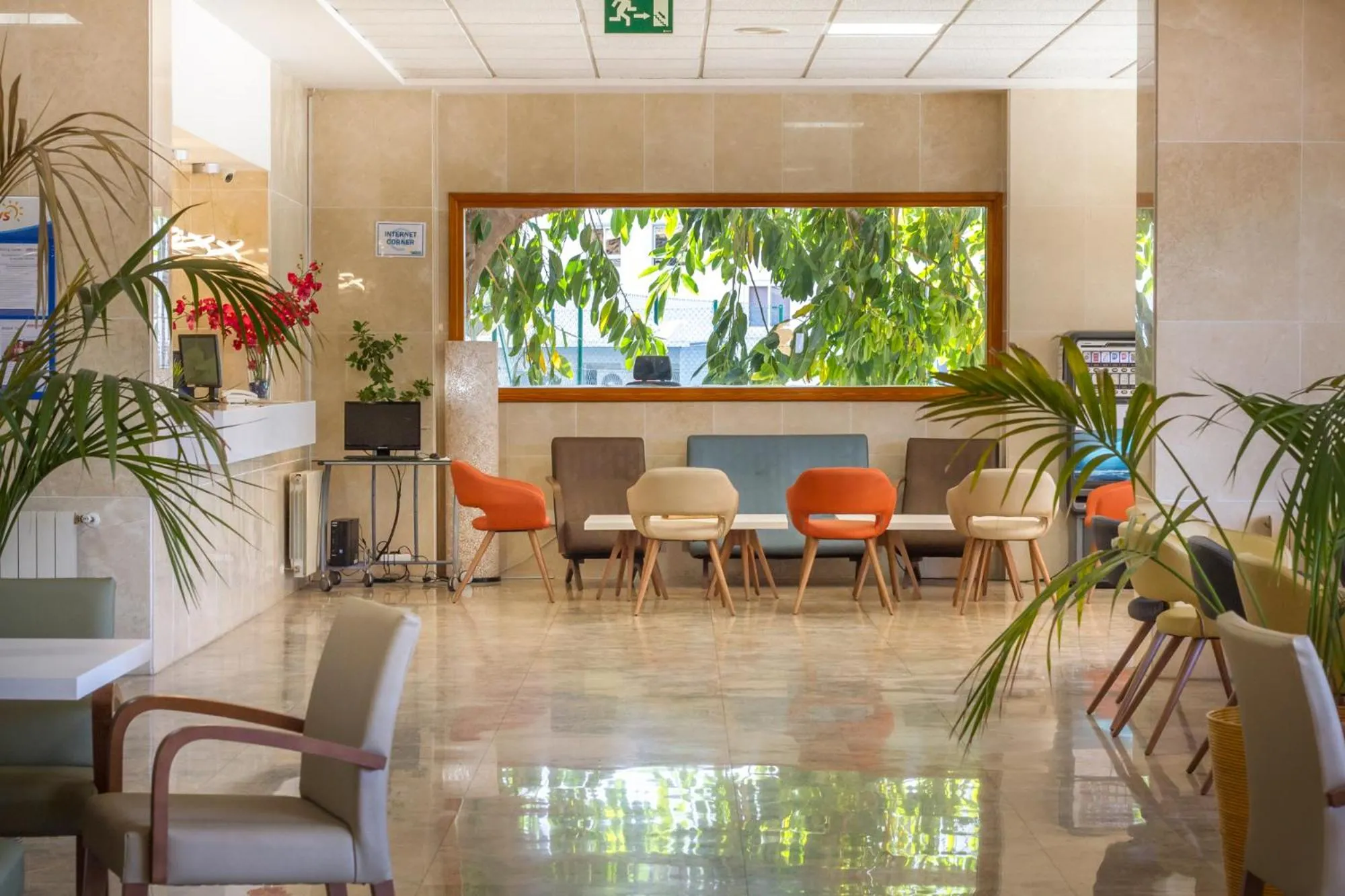 Area and facilities in Apartamentos La Era Park