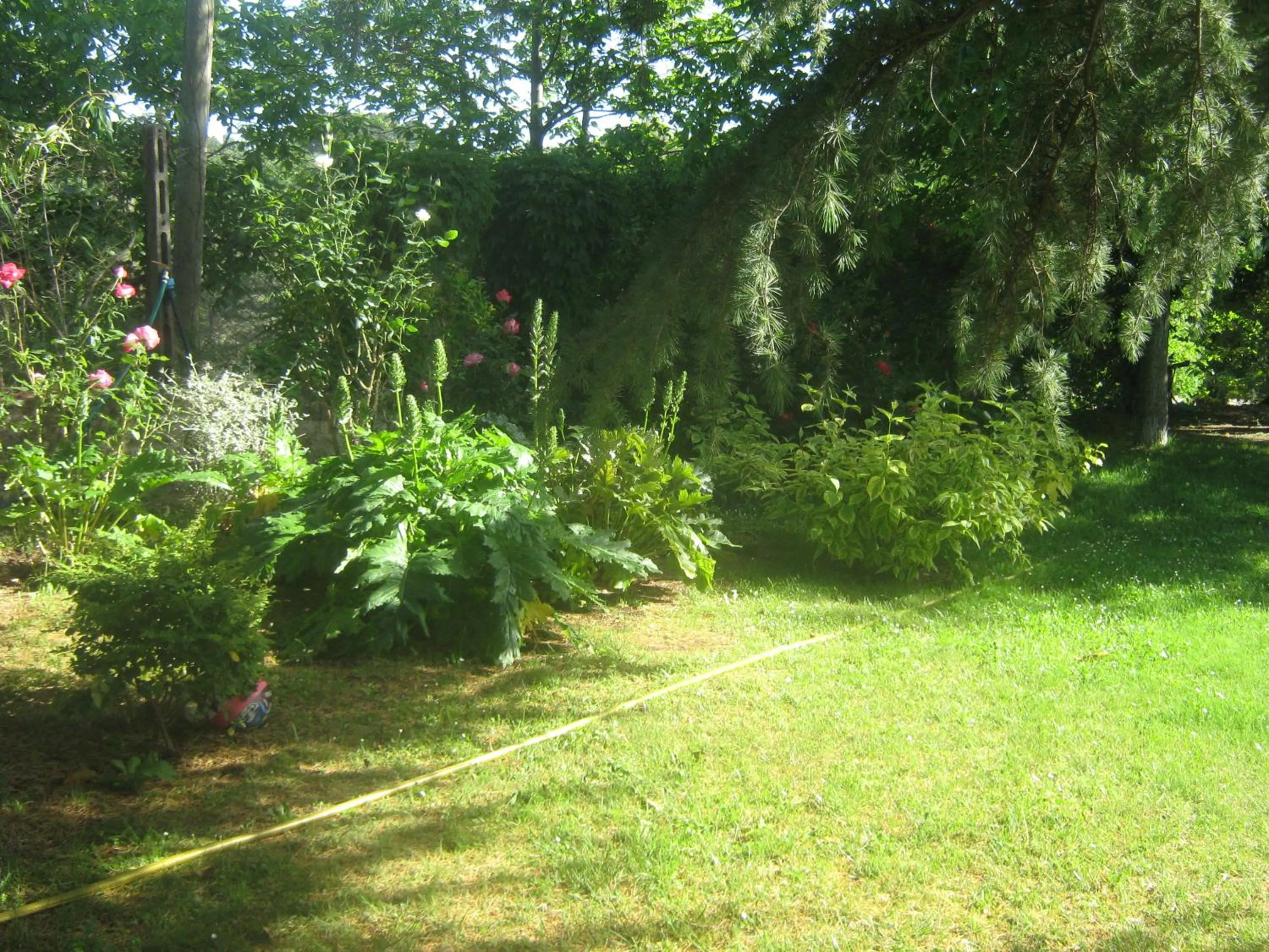Garden view in La Villa di Lucia