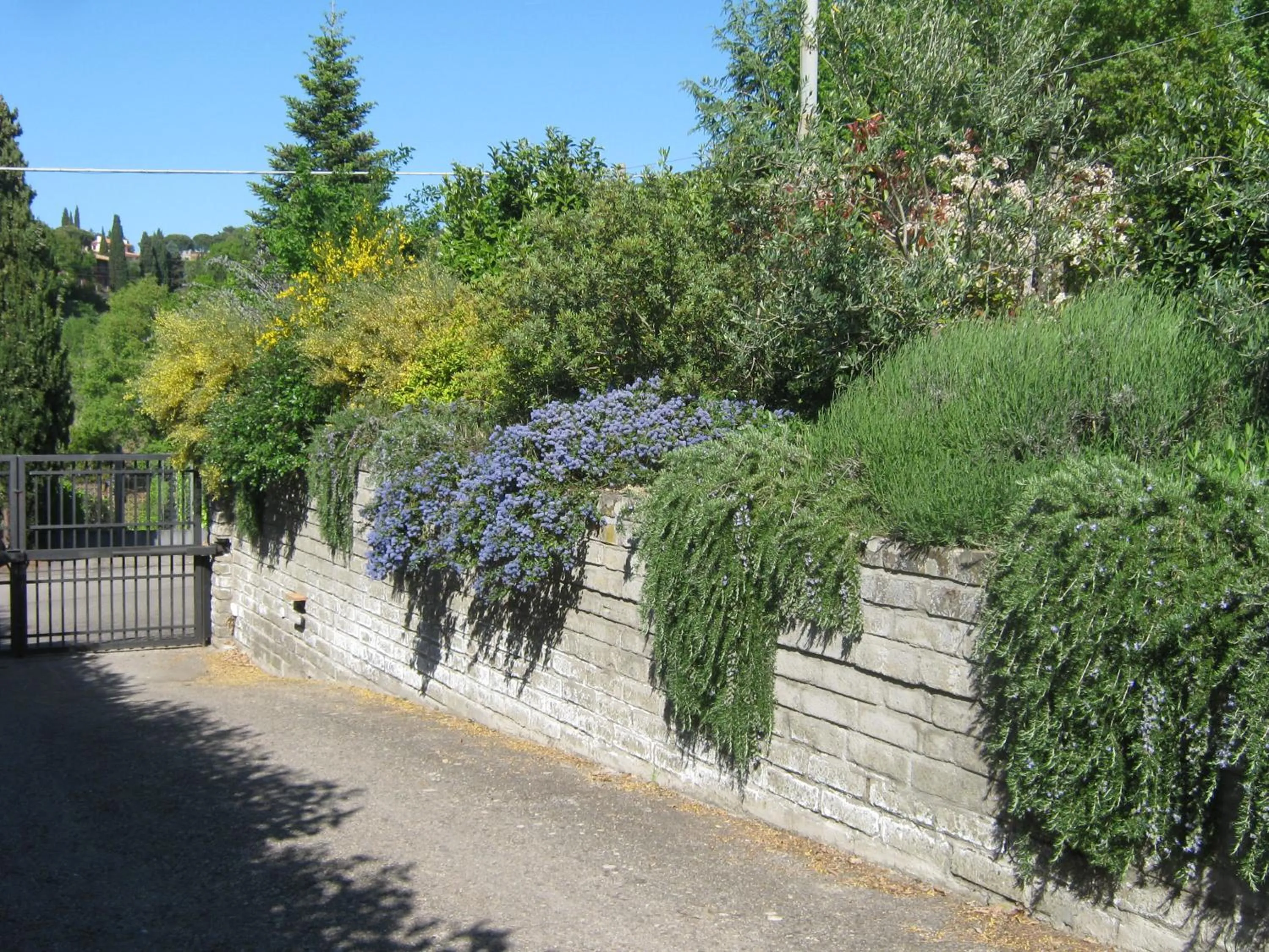 Street view in La Villa di Lucia