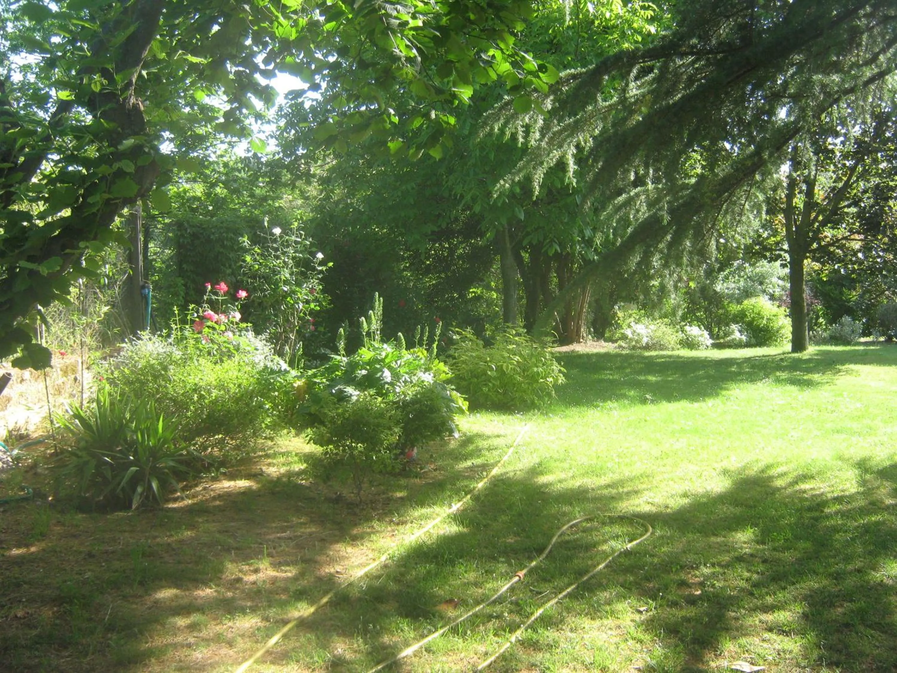 Garden view in La Villa di Lucia