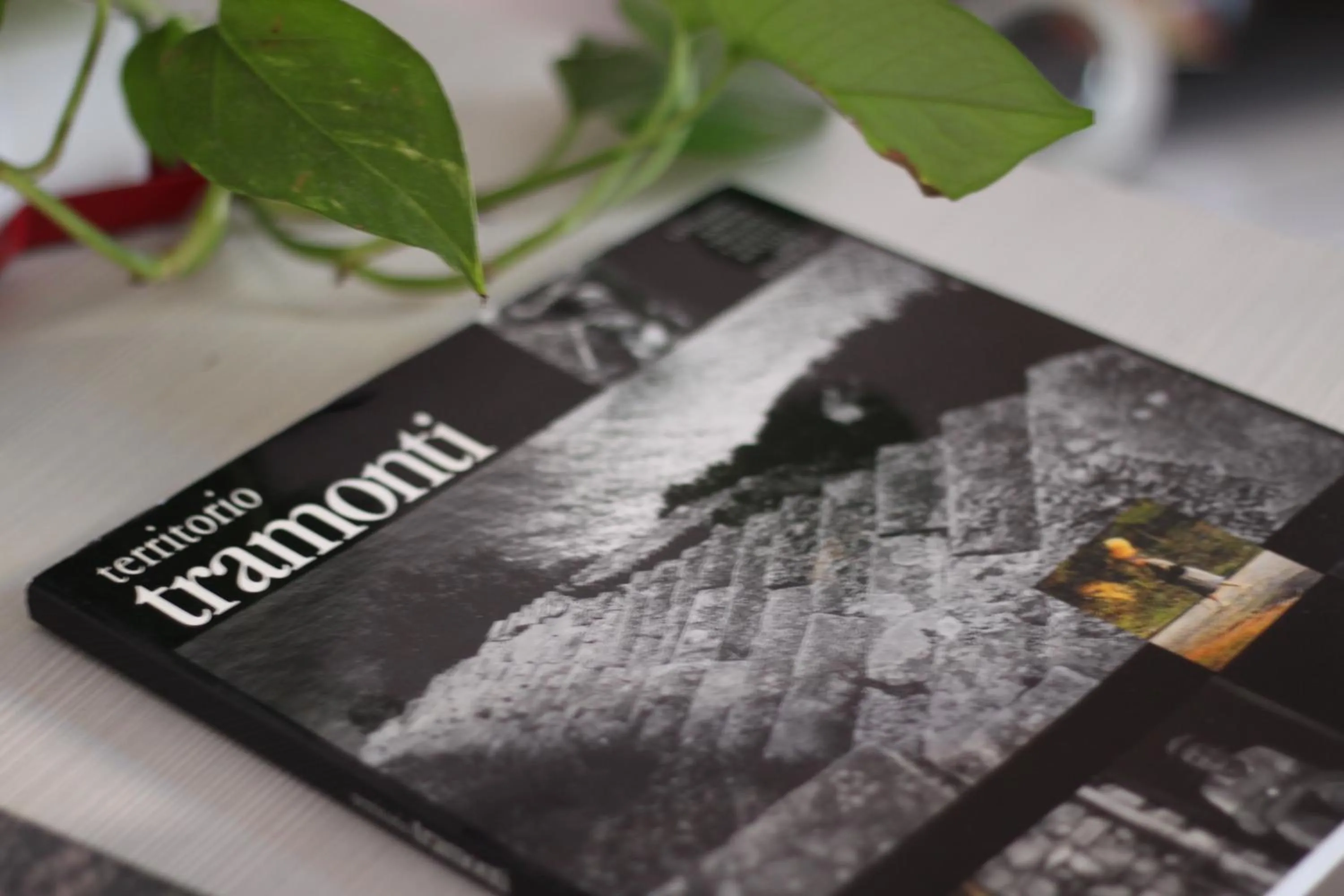 Library in B&B Cernaia 42