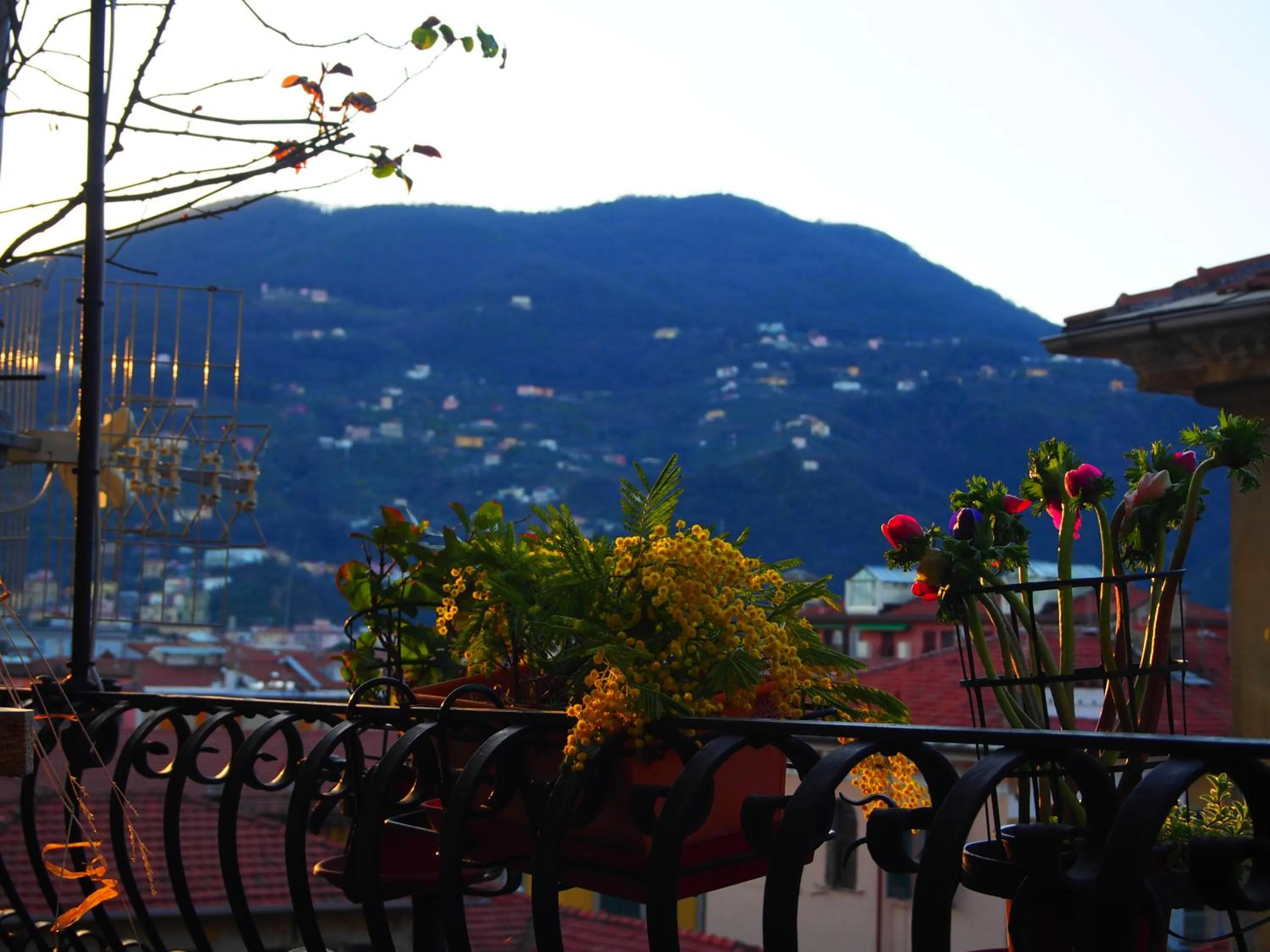 View (from property/room) in B&B Cernaia 42