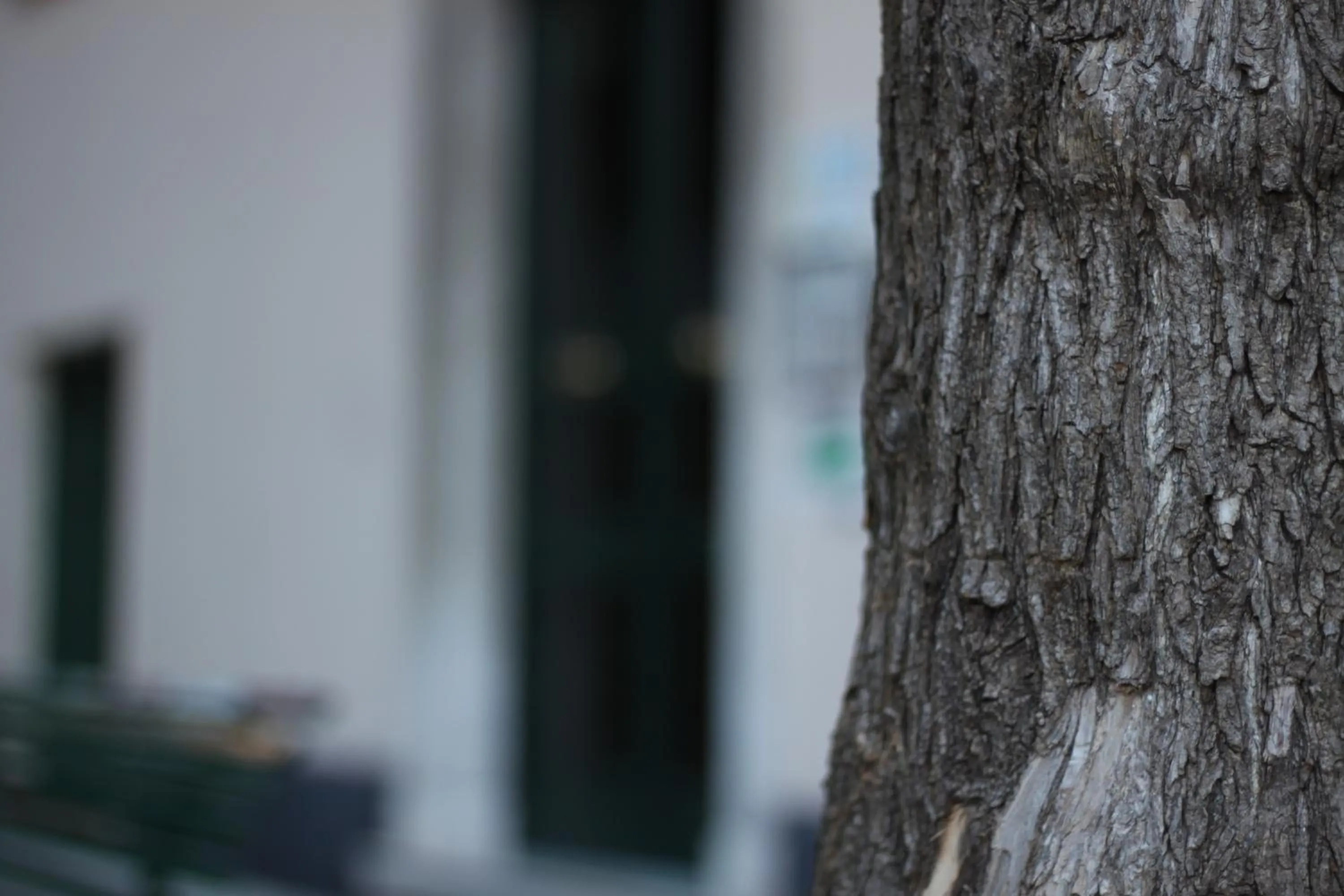 Other in B&B Cernaia 42