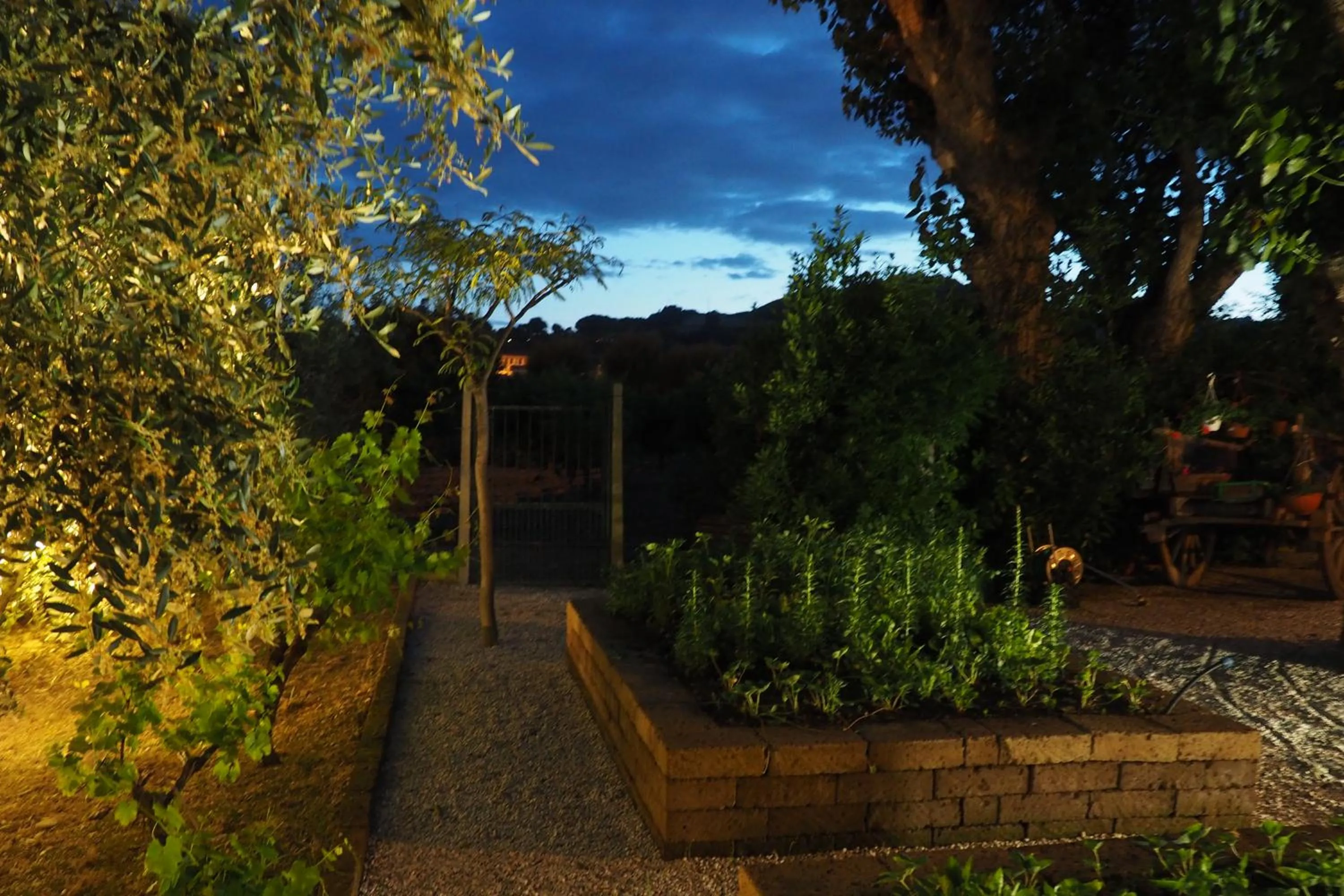Garden in Villa Mirella Beach