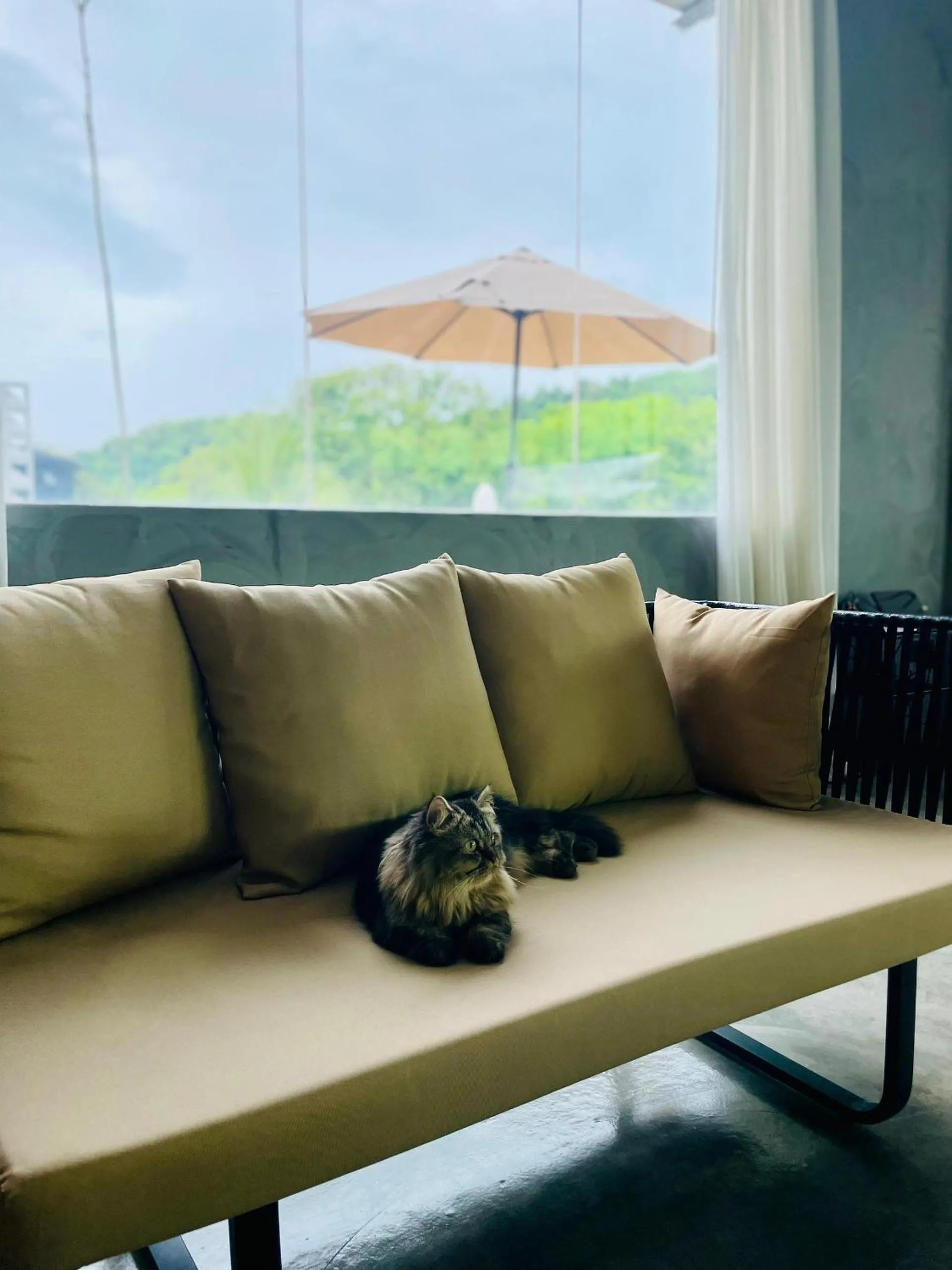 Seating area in BaBa Boutique House Langkawi
