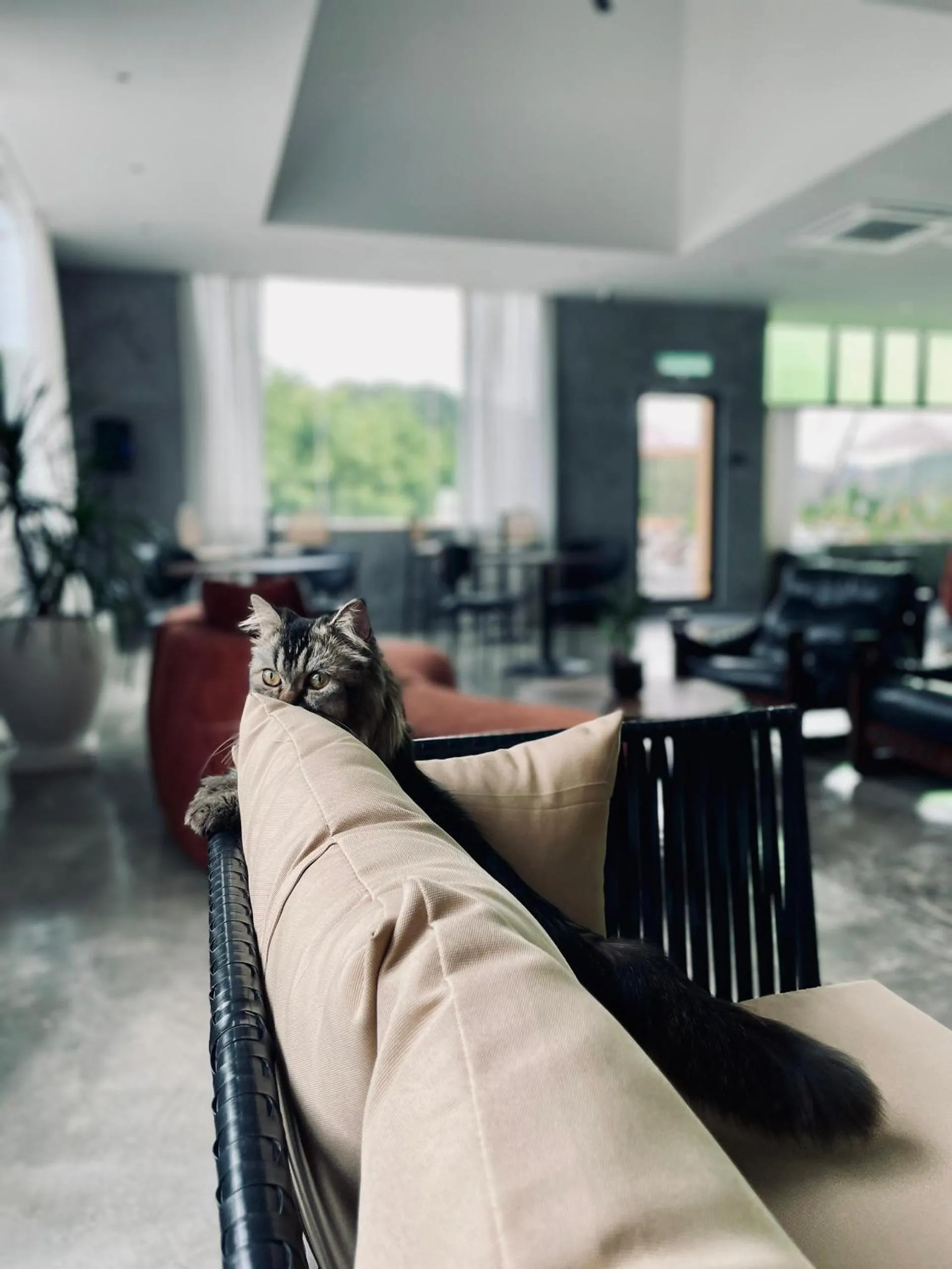 Seating area in BaBa Boutique House Langkawi